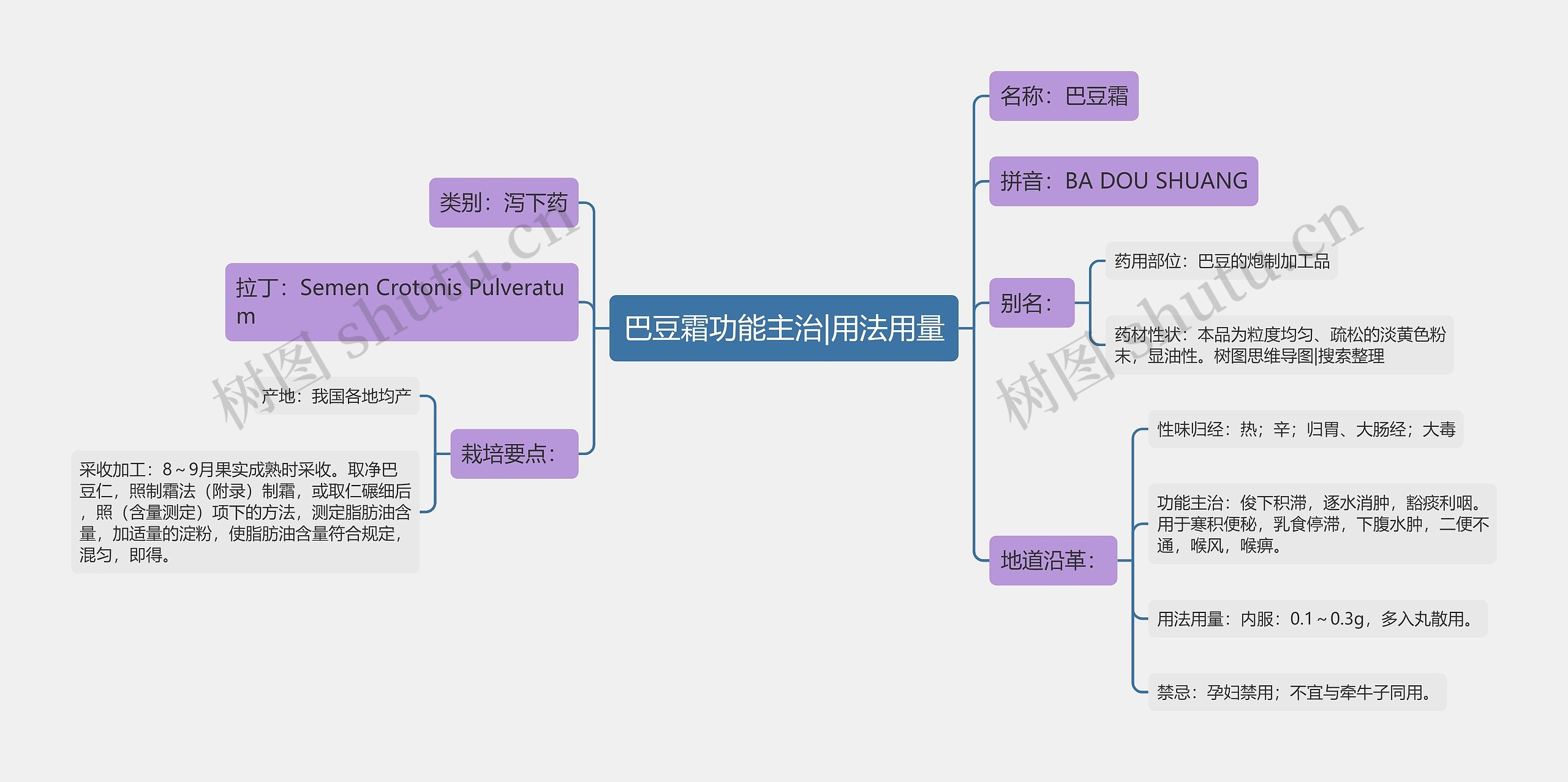 巴豆霜功能主治|用法用量思维导图