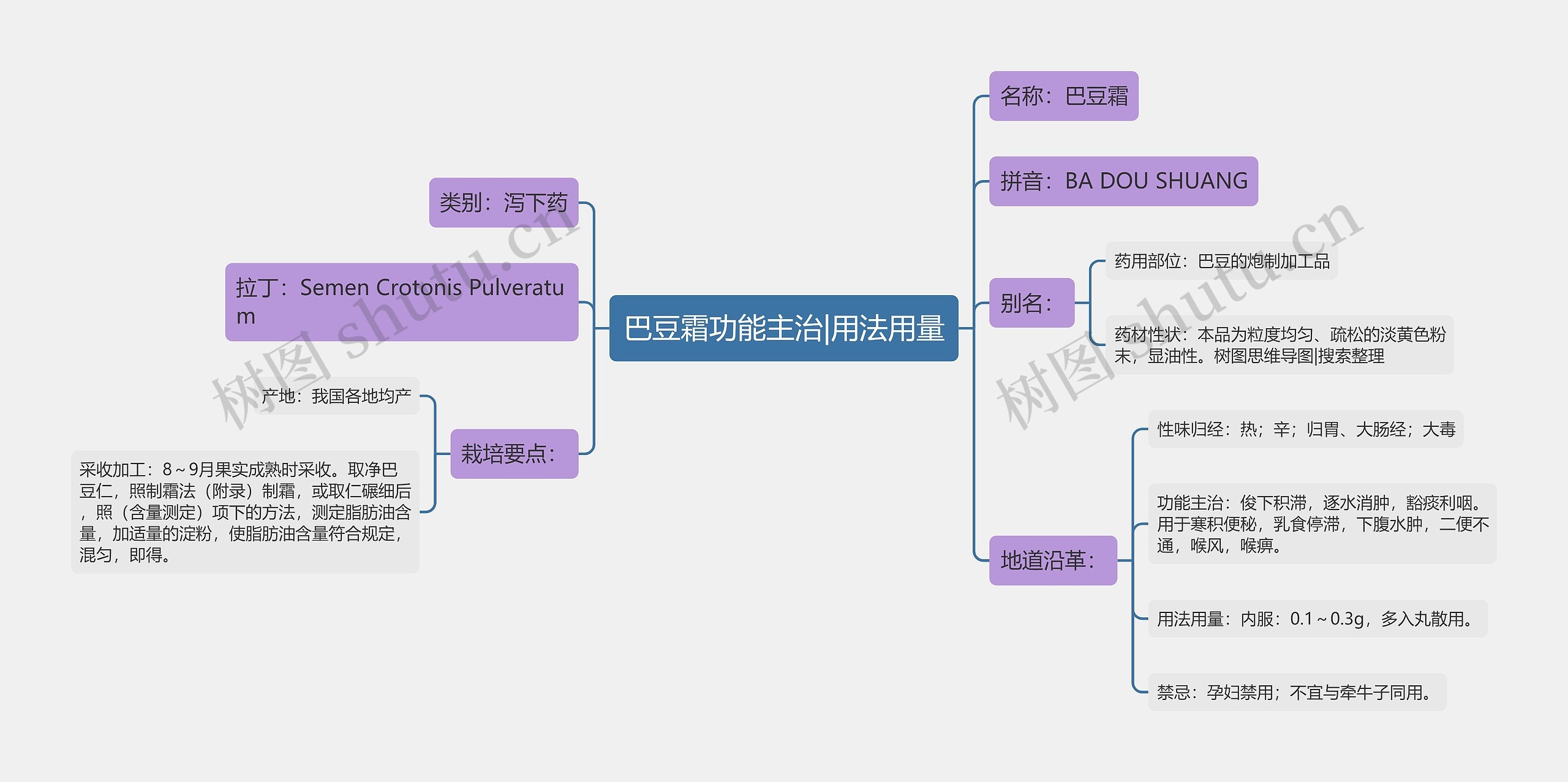 巴豆霜功能主治|用法用量 巴豆霜功能主治|用法用量