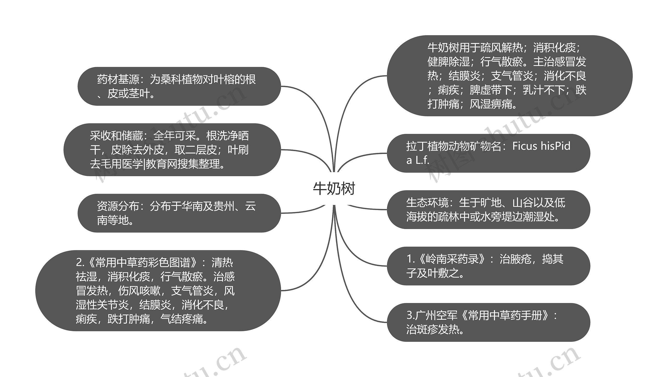 牛奶树思维导图