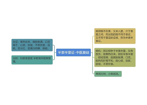 半表半里证-中医基础