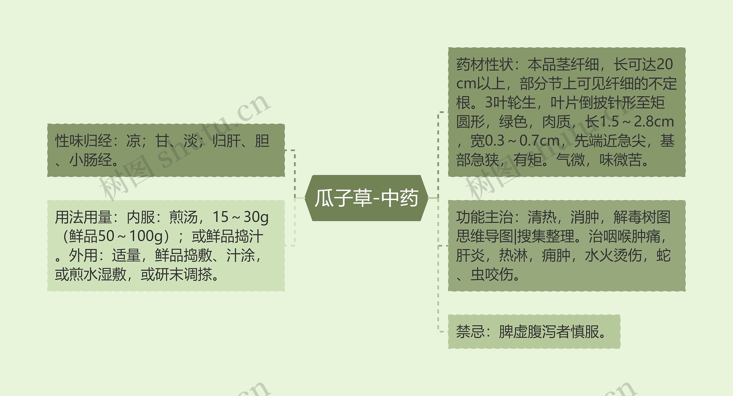 瓜子草-中药思维导图