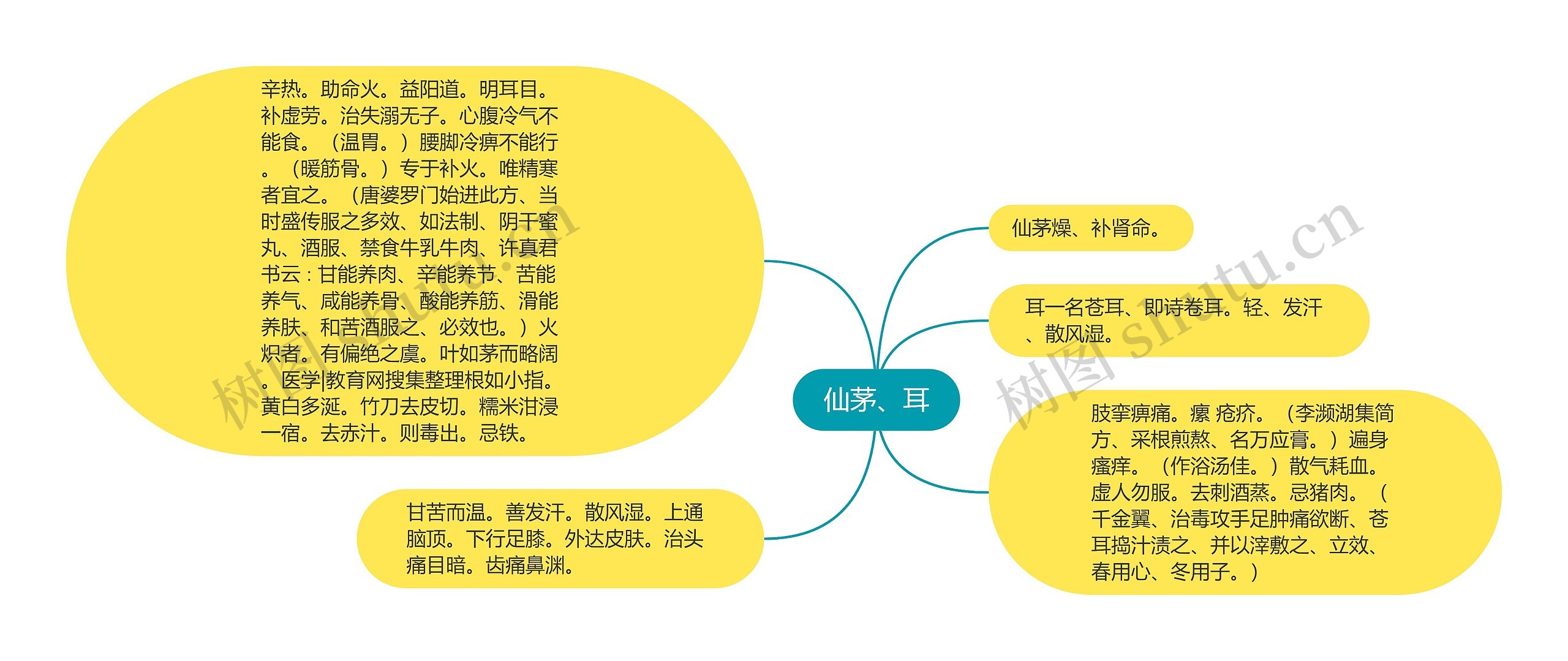 仙茅、耳思维导图