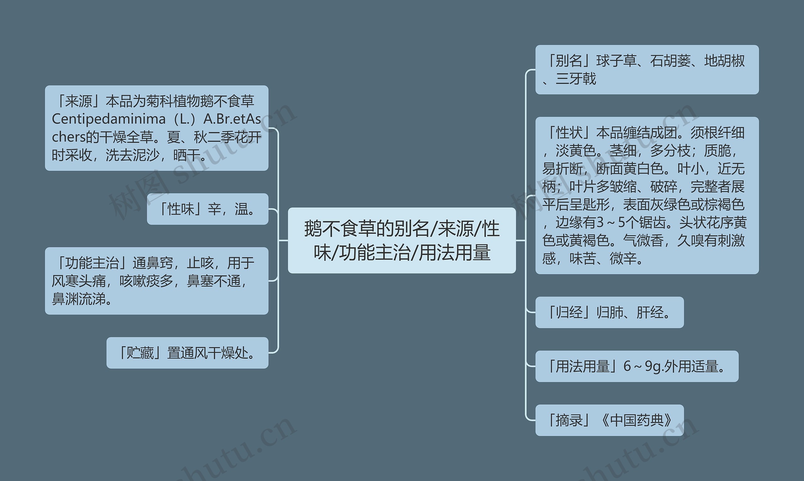 鹅不食草的别名/来源/性味/功能主治/用法用量思维导图