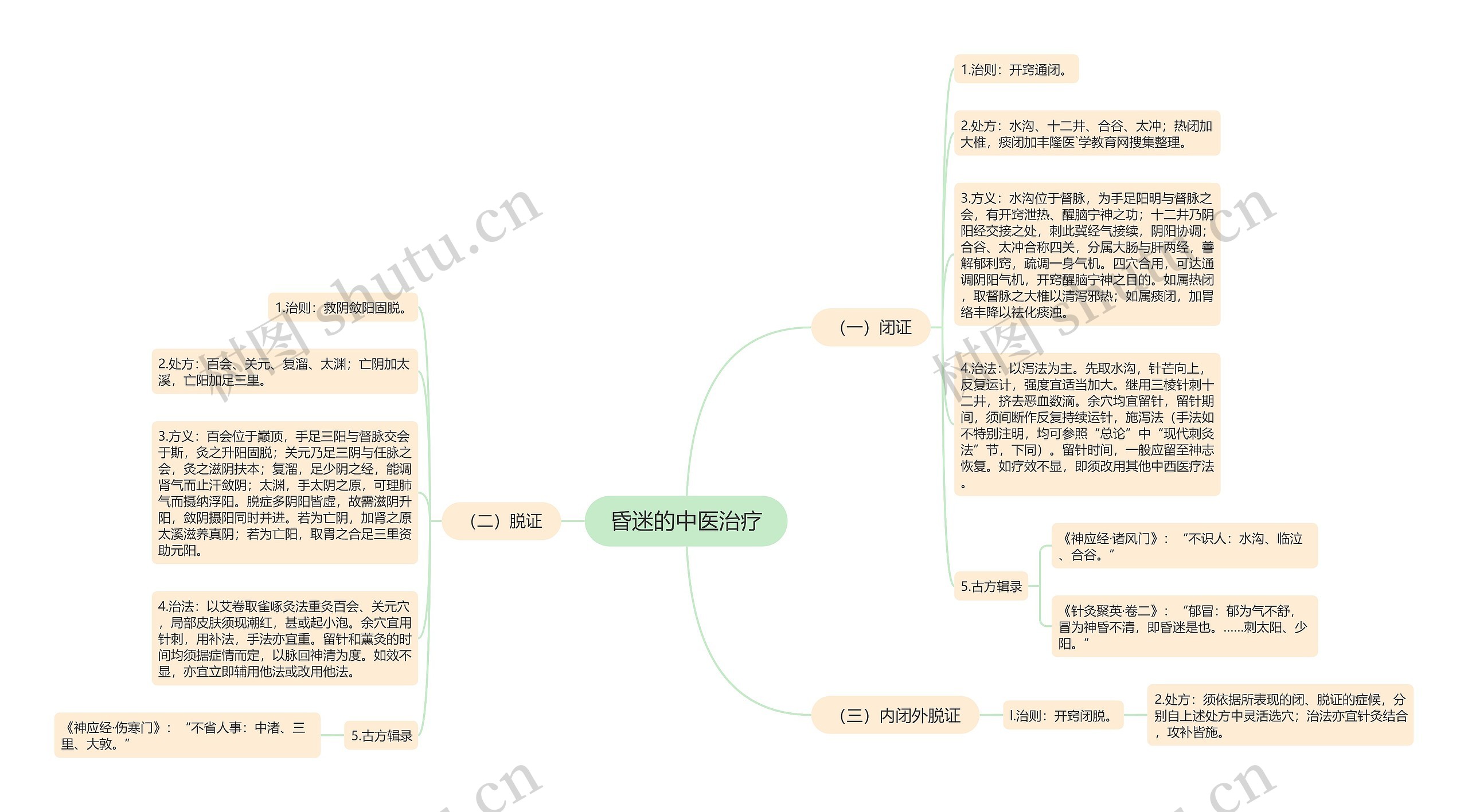 昏迷的中医治疗