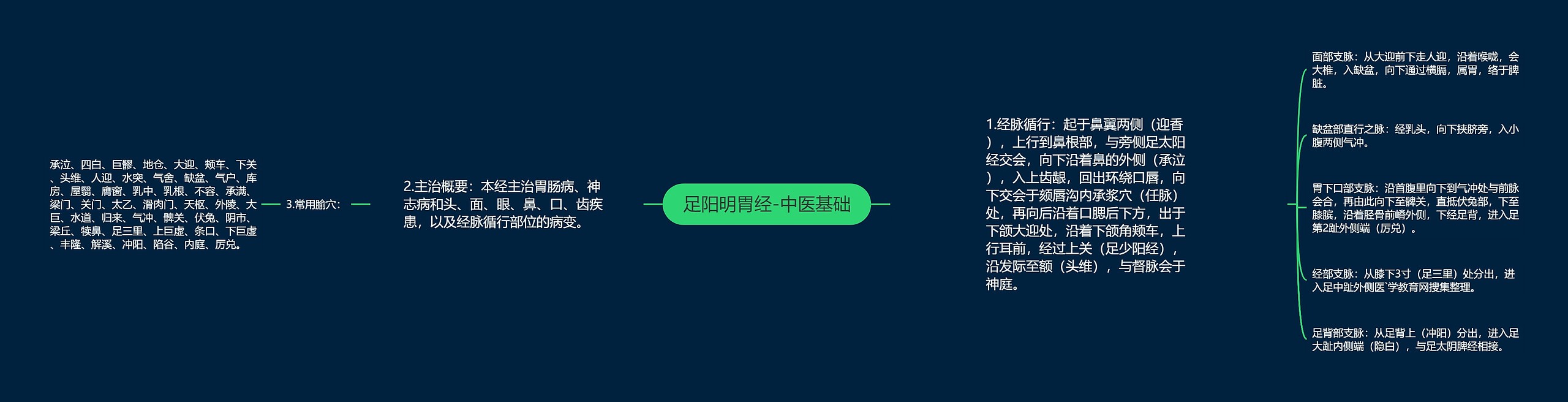 足阳明胃经-中医基础 足阳明胃经-中医基础