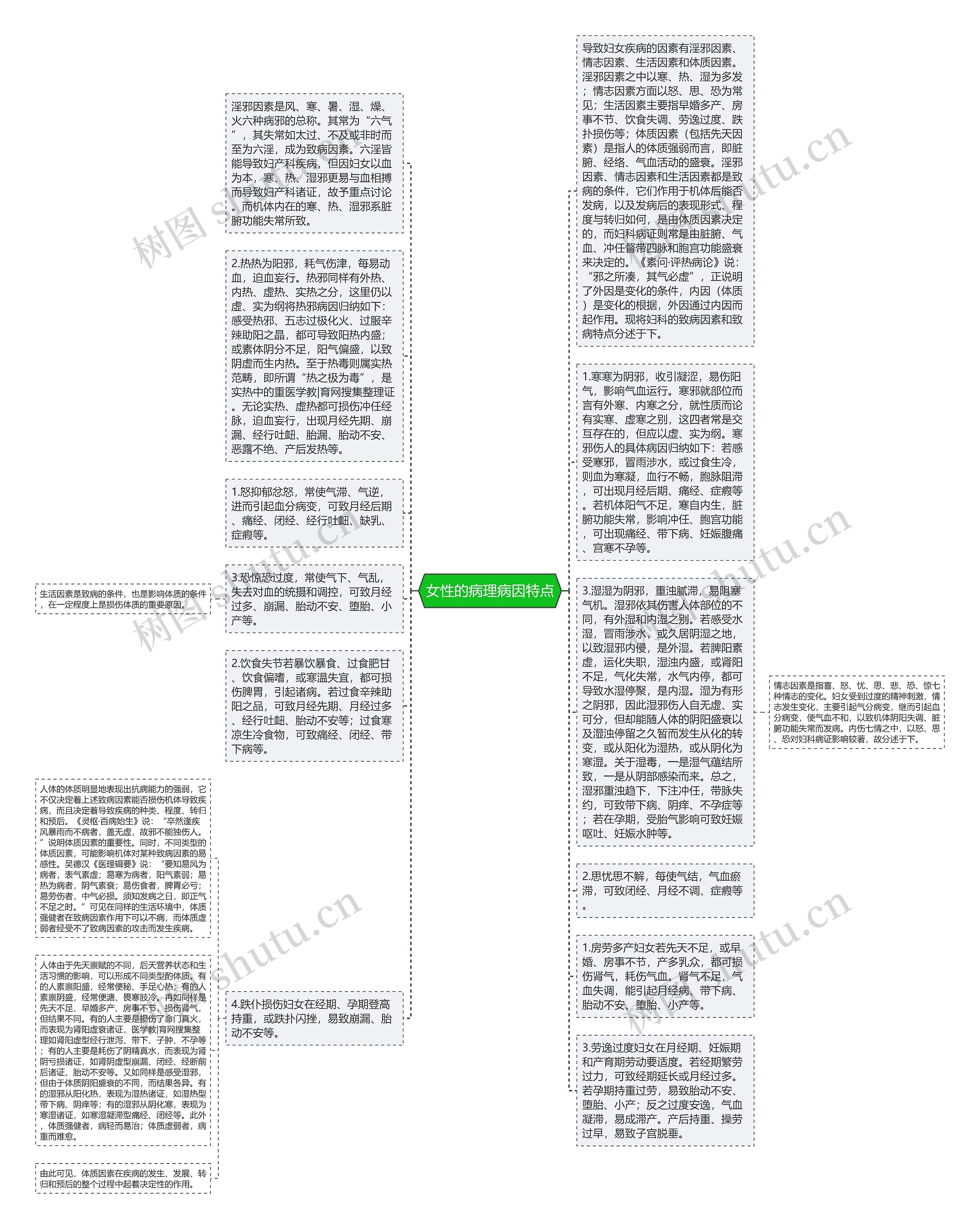女性的病理病因特点思维导图