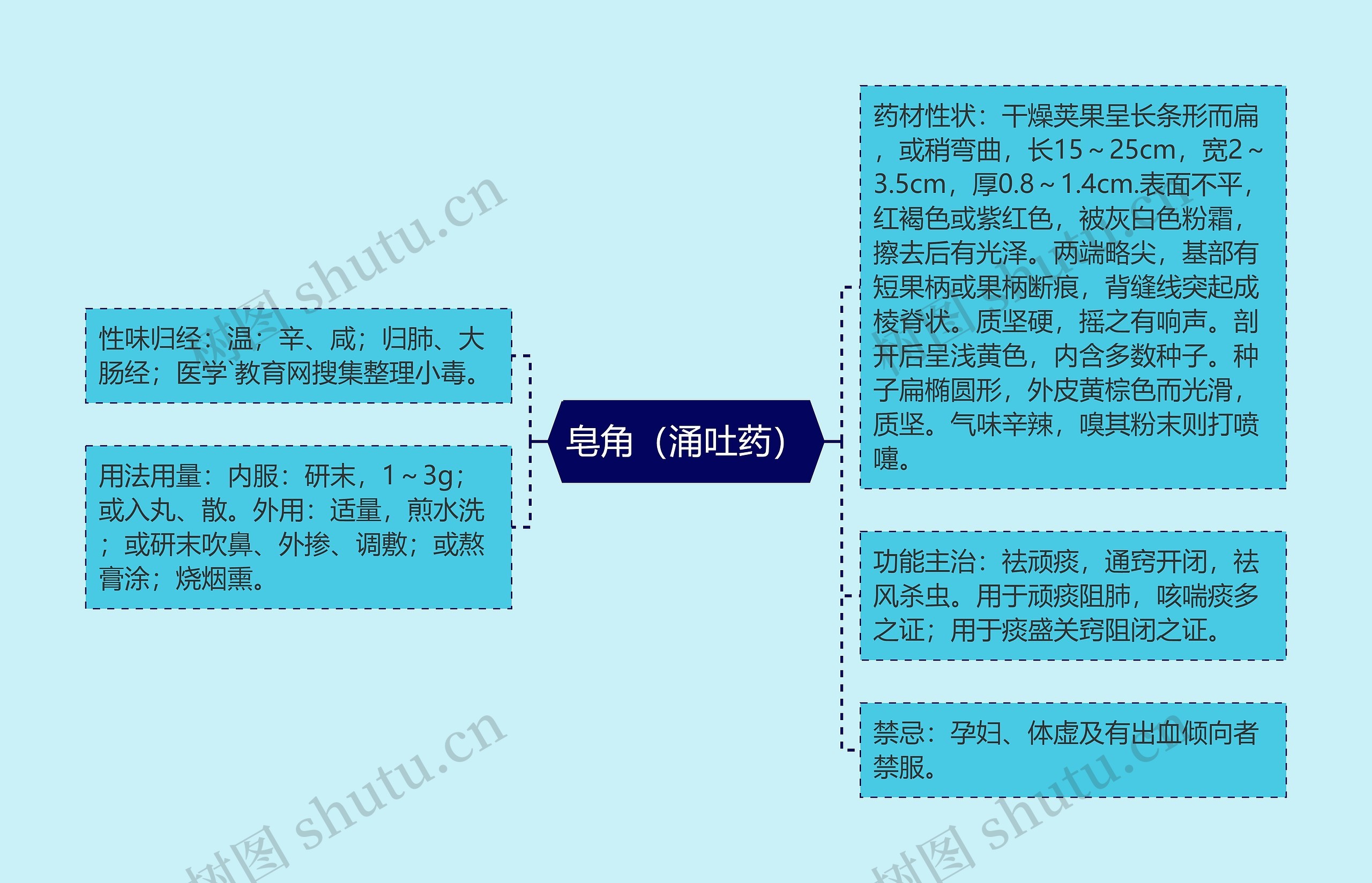 皂角（涌吐药）思维导图