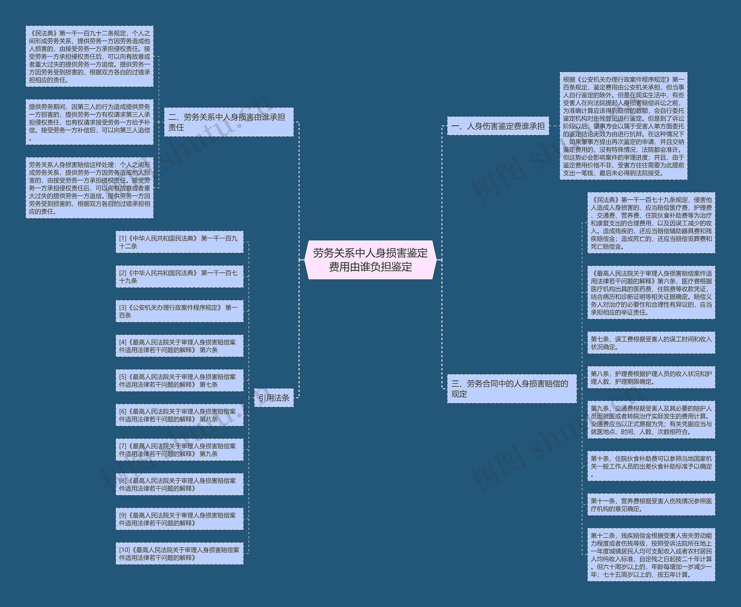 劳务关系中人身损害鉴定费用由谁负担鉴定思维导图
