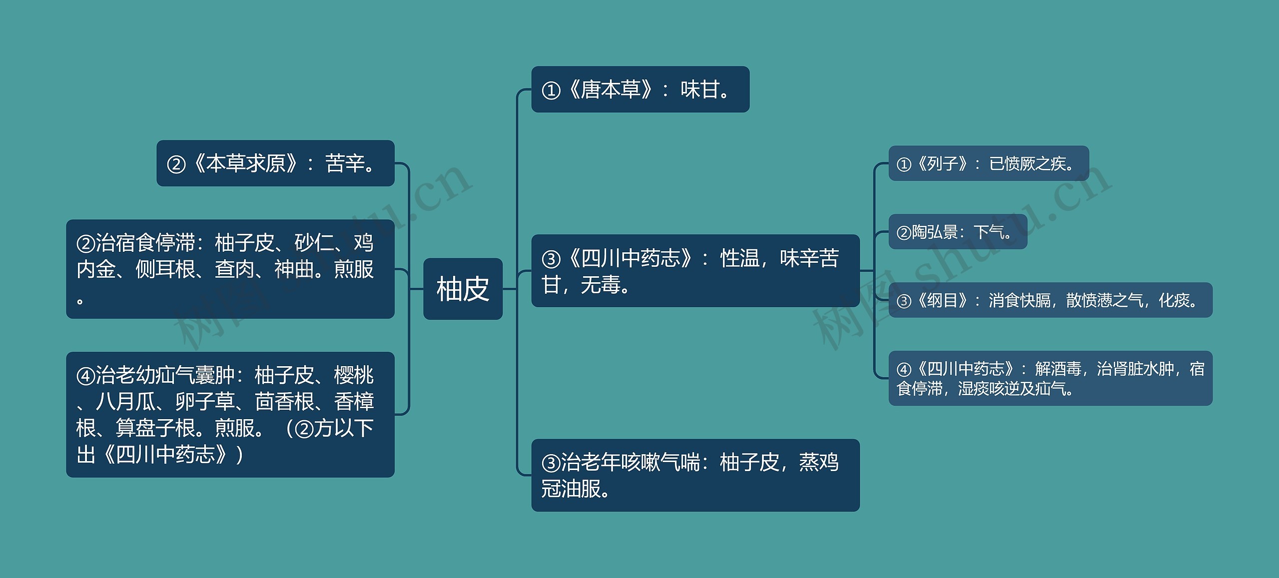 柚皮思维导图