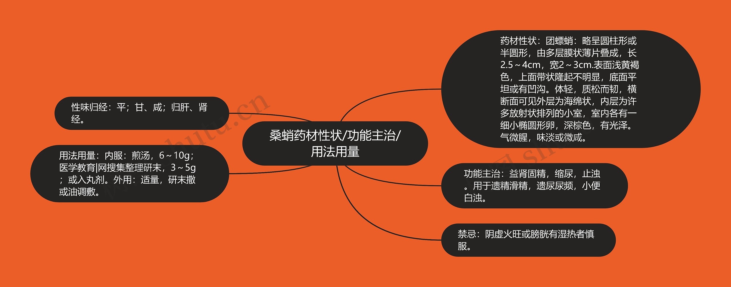 桑蛸药材性状/功能主治/用法用量 桑蛸药材性状/功能主治/用法用量