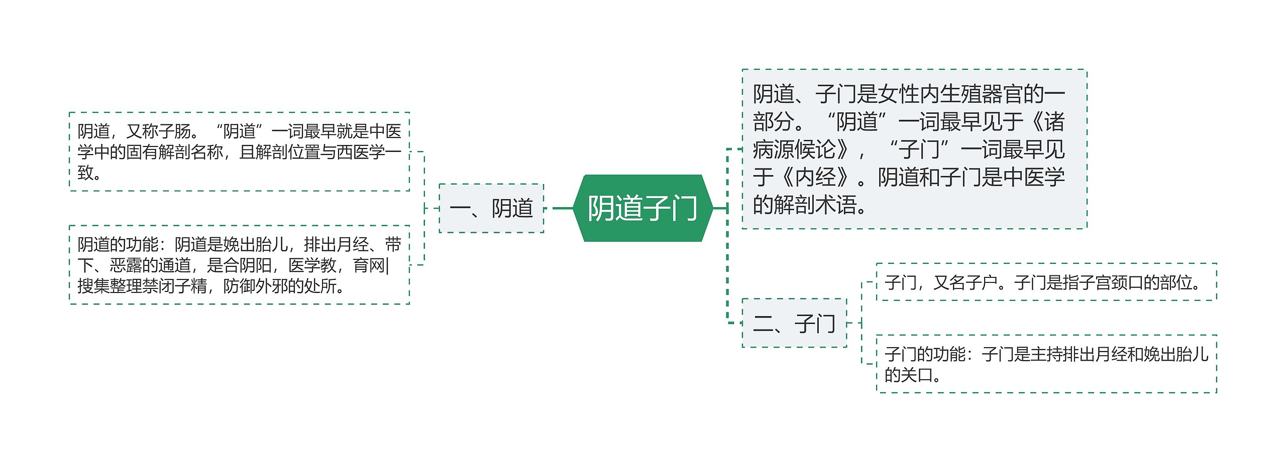 阴道子门思维导图