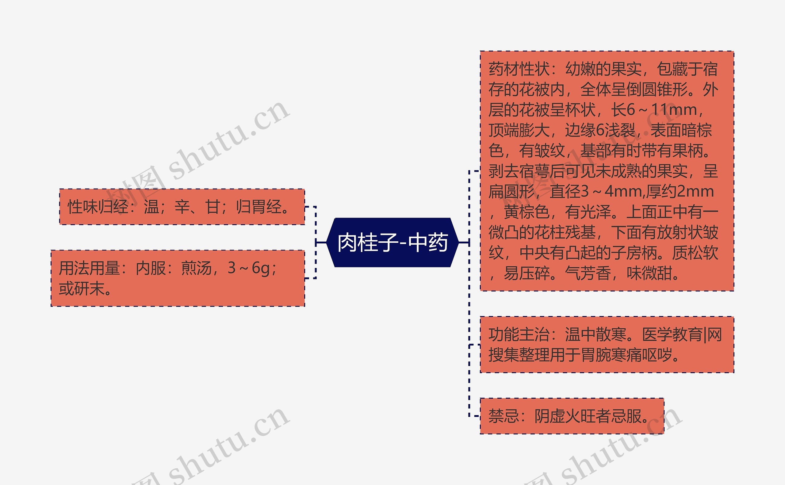 肉桂子-中药思维导图