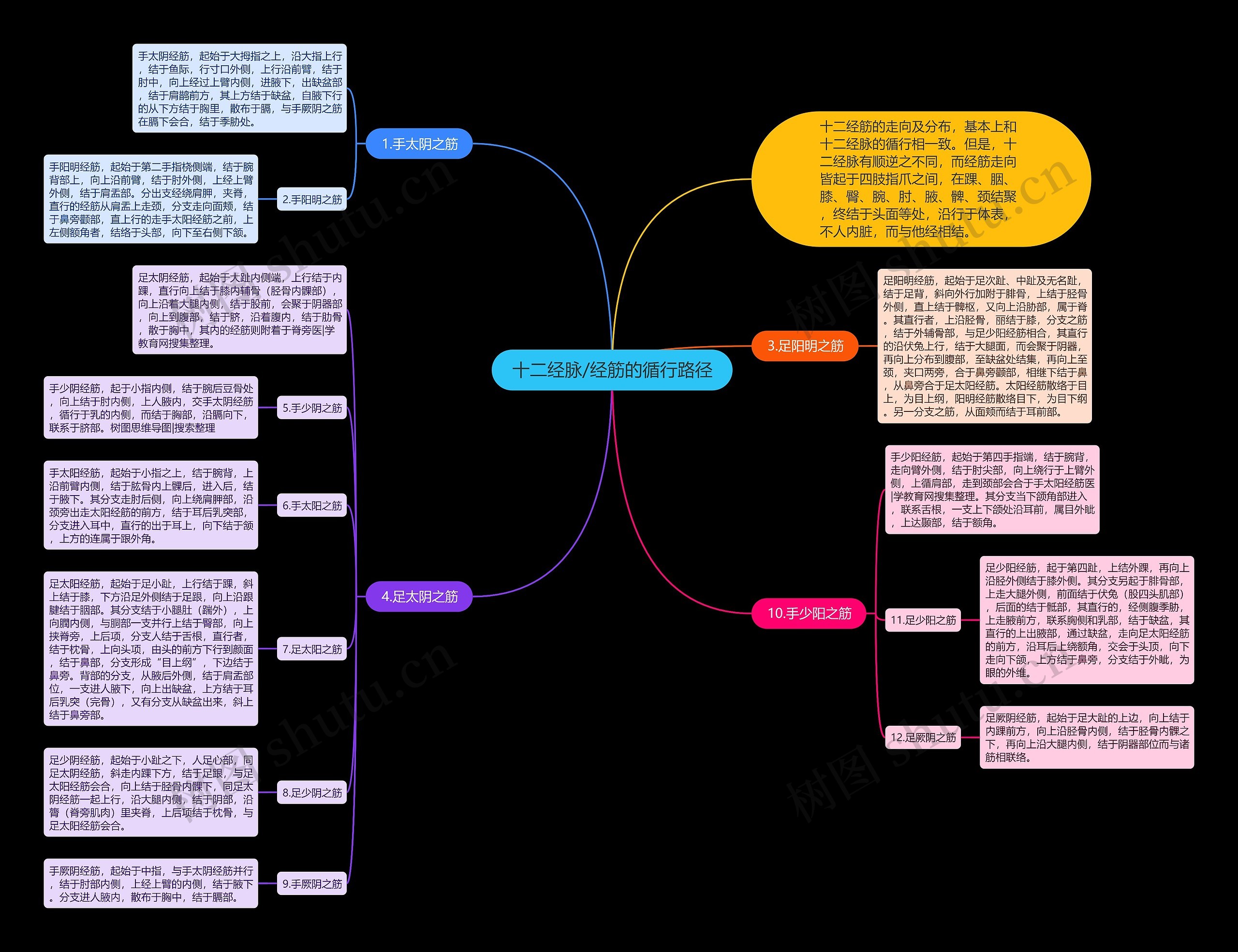 十二经脉/经筋的循行路径思维导图