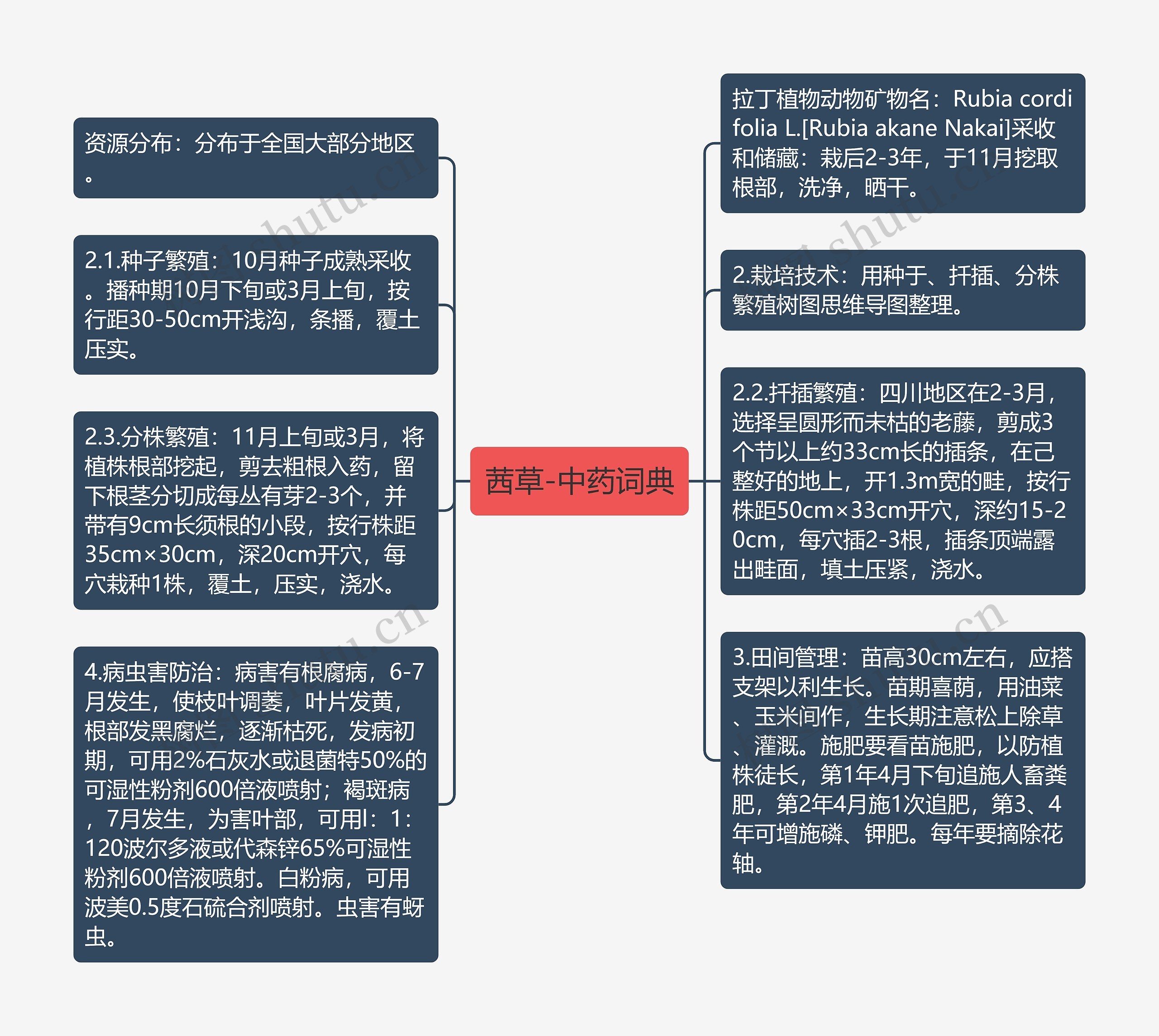 茜草-中药词典思维导图