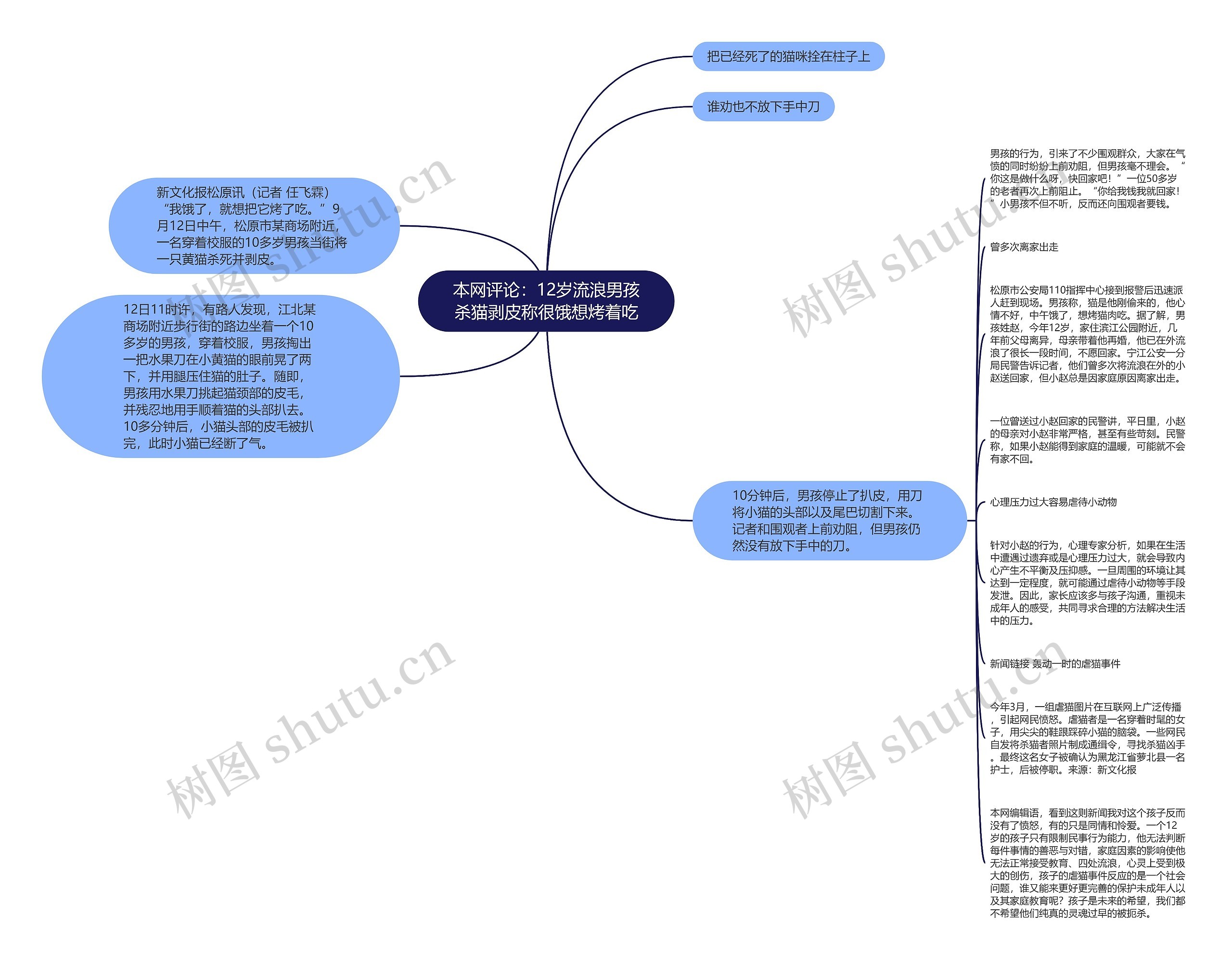 本网评论：12岁流浪男孩杀猫剥皮称很饿想烤着吃