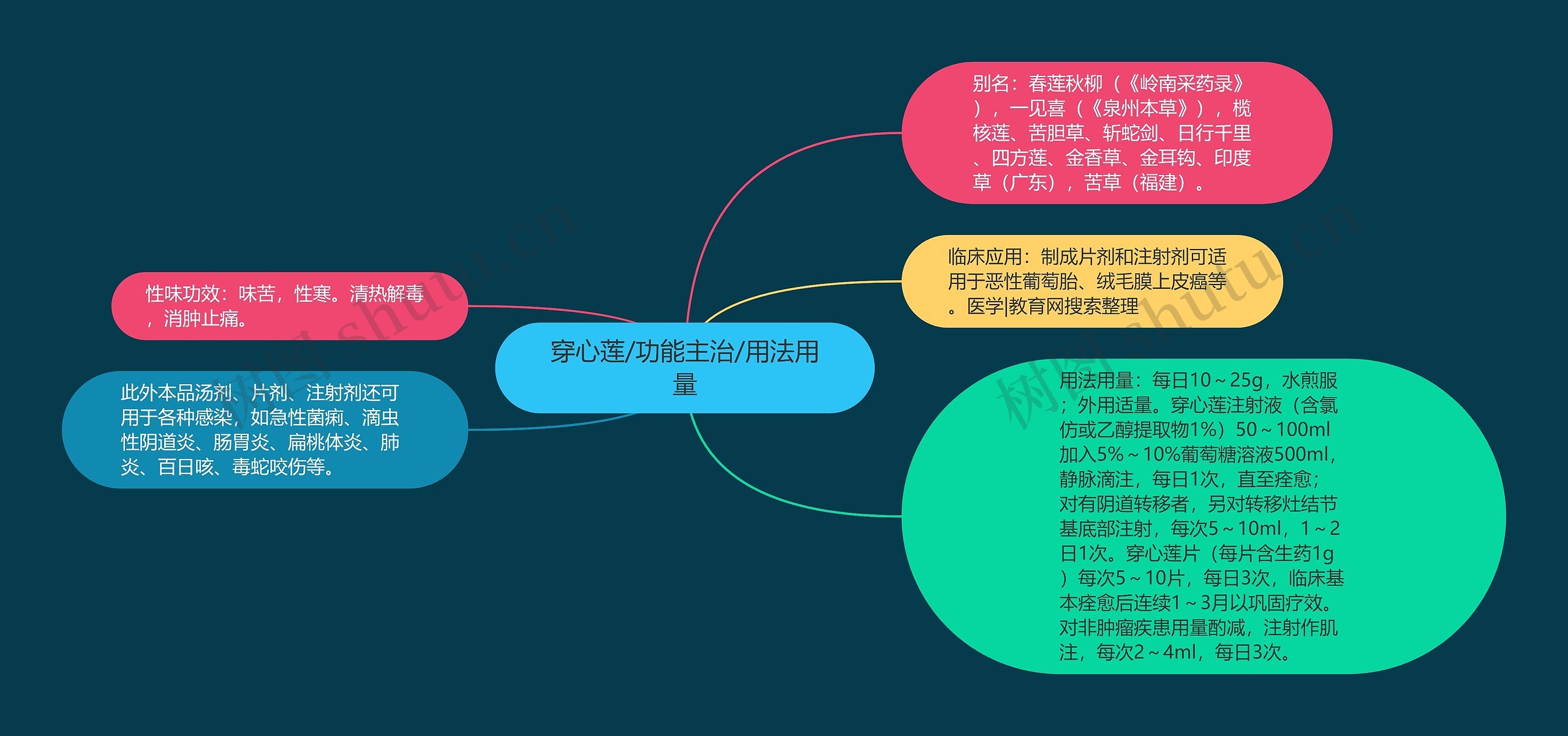 穿心莲/功能主治/用法用量思维导图