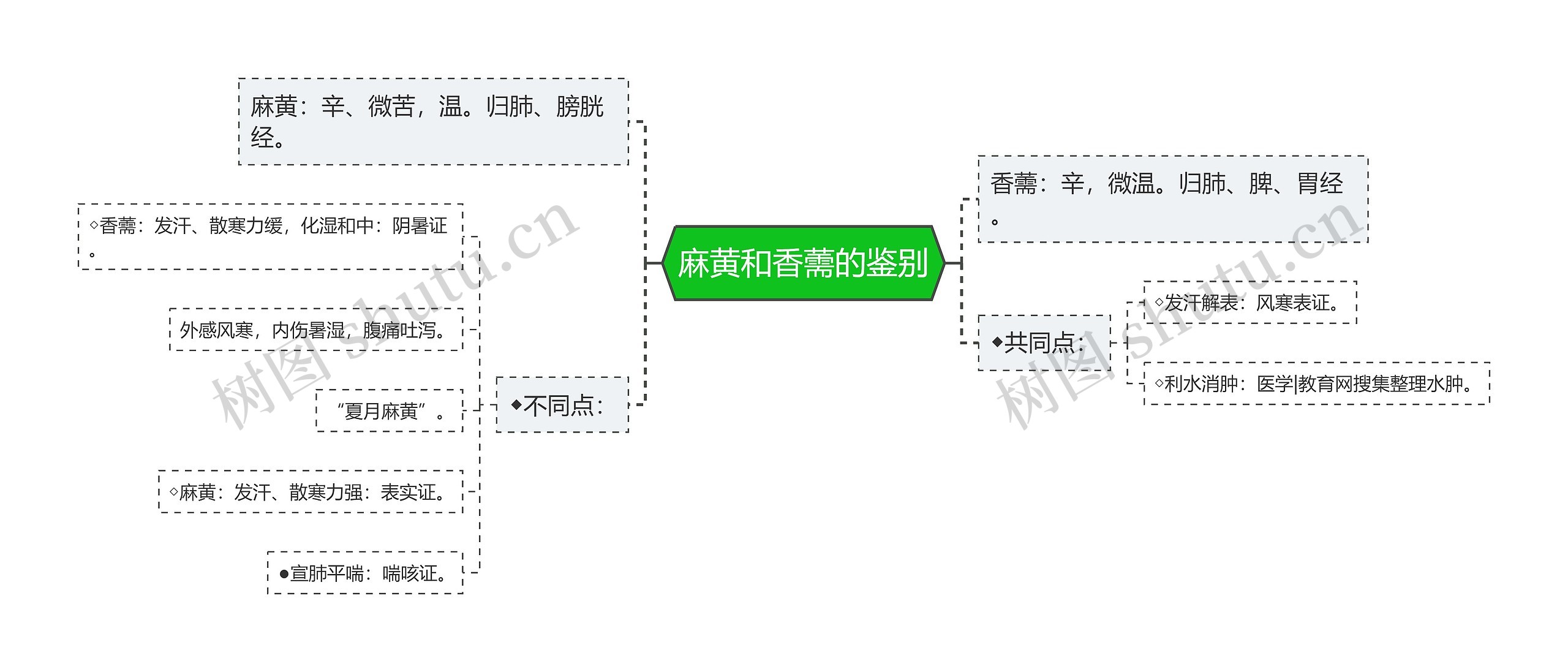 麻黄和香薷的鉴别思维导图