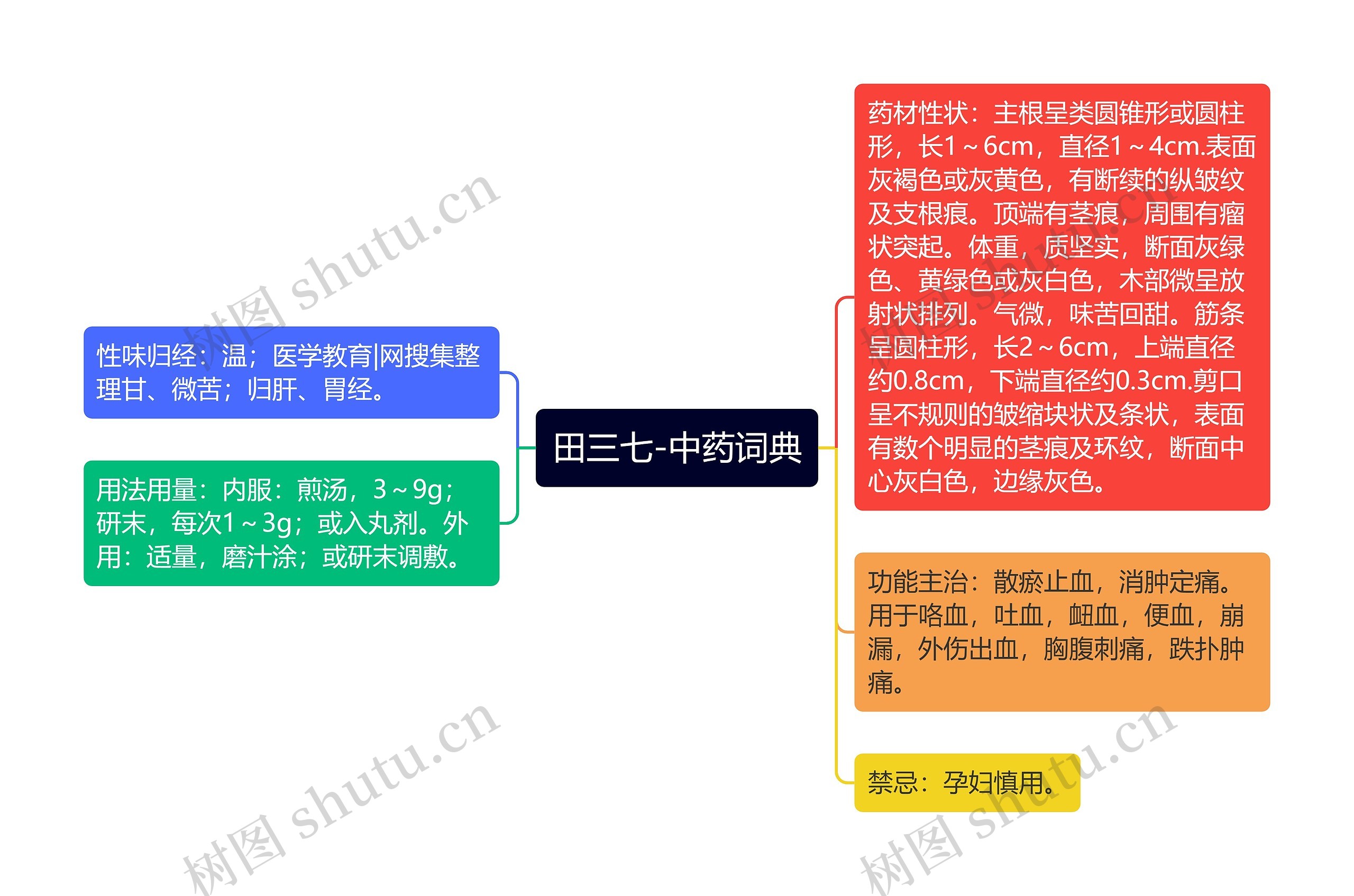 田三七-中药词典思维导图