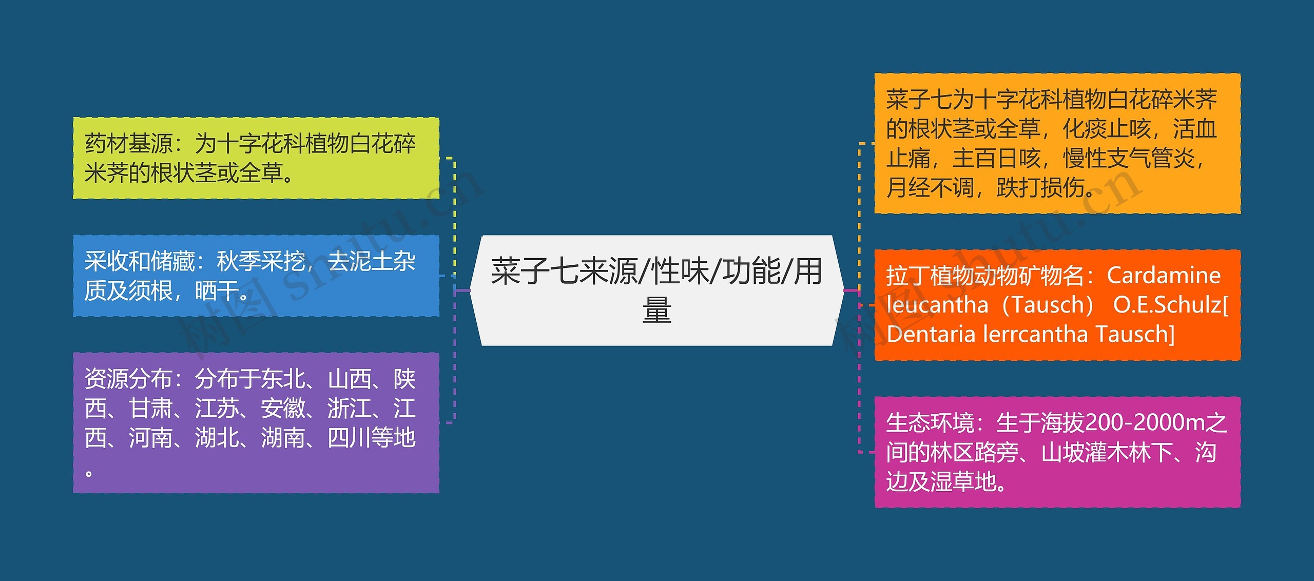 菜子七来源/性味/功能/用量思维导图