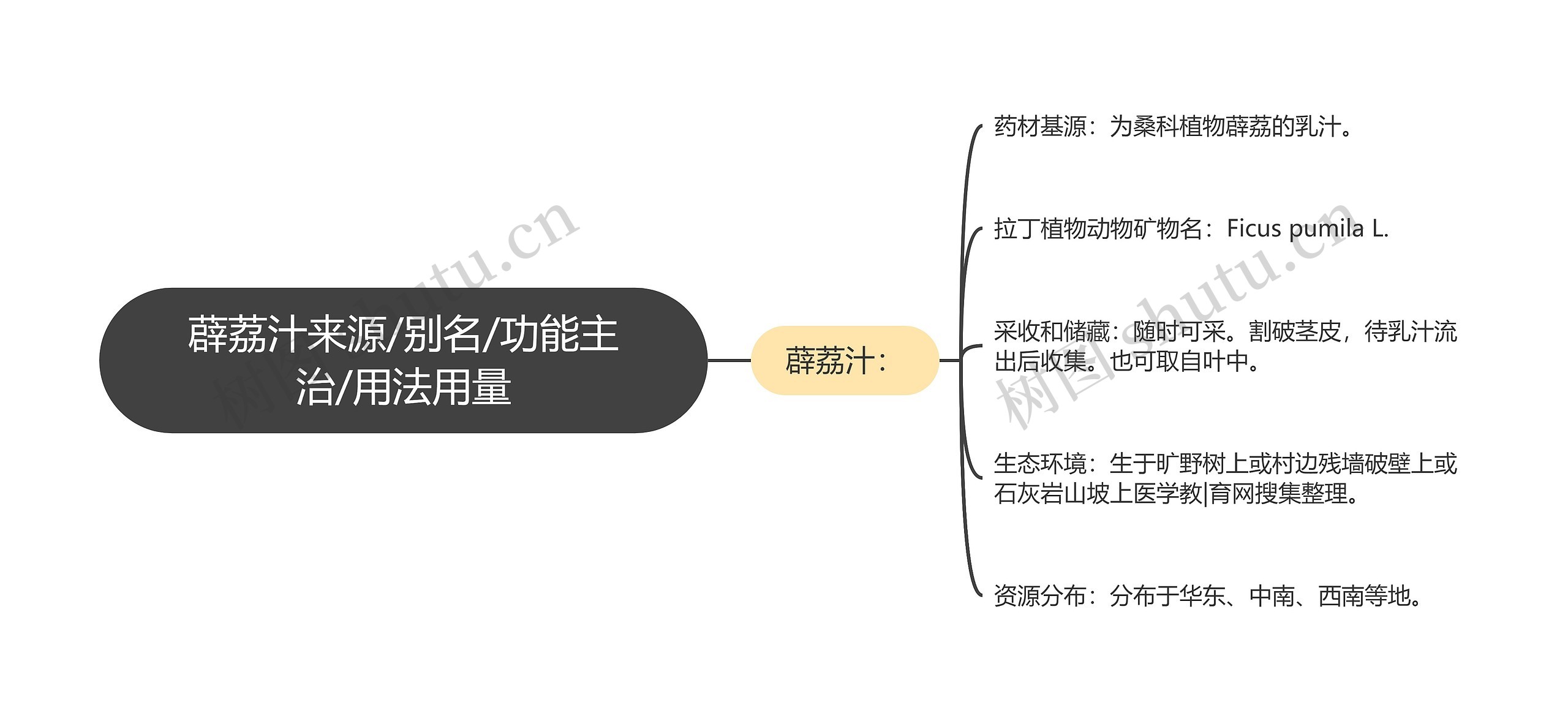 薜荔汁来源/别名/功能主治/用法用量思维导图