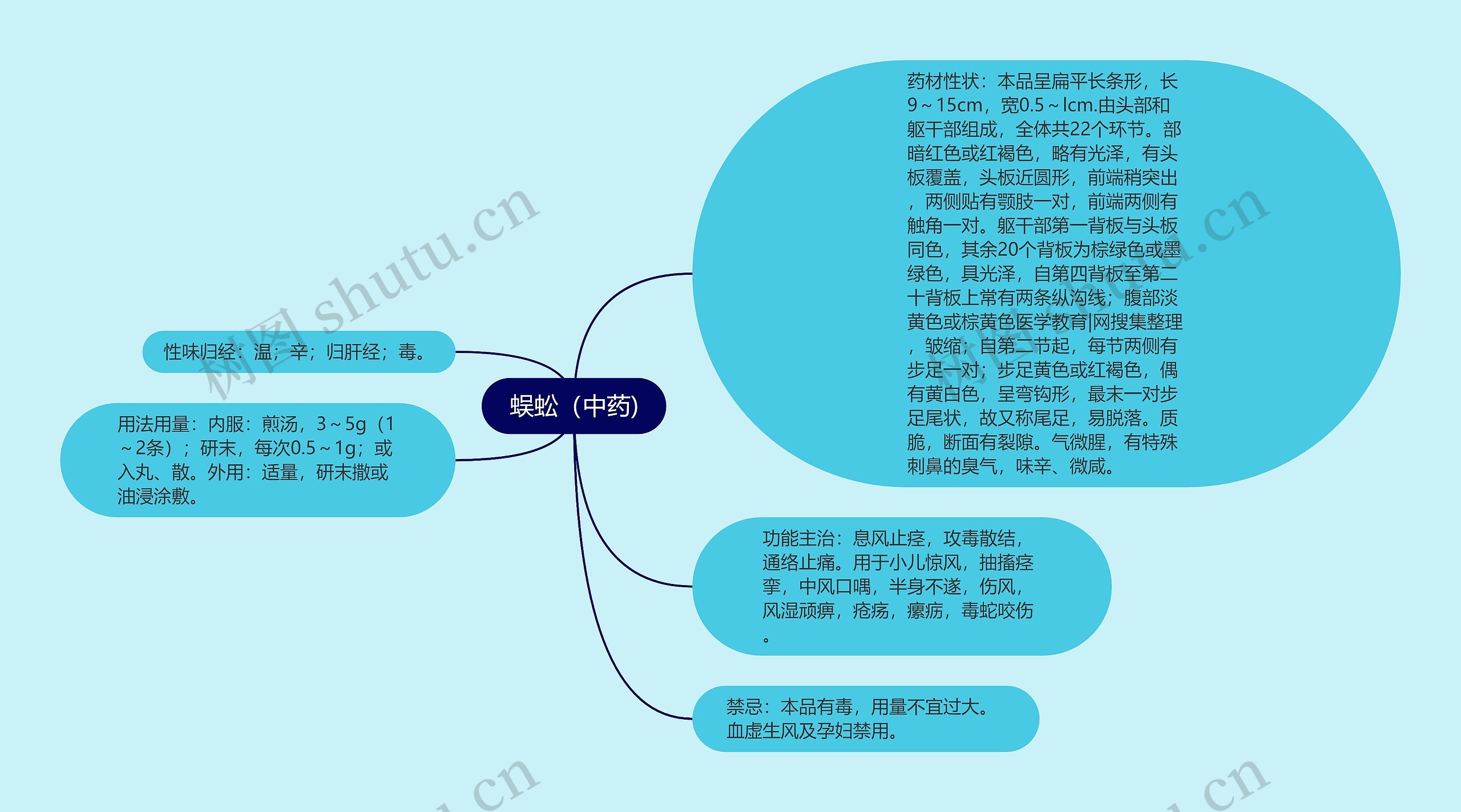 蜈蚣（中药)思维导图