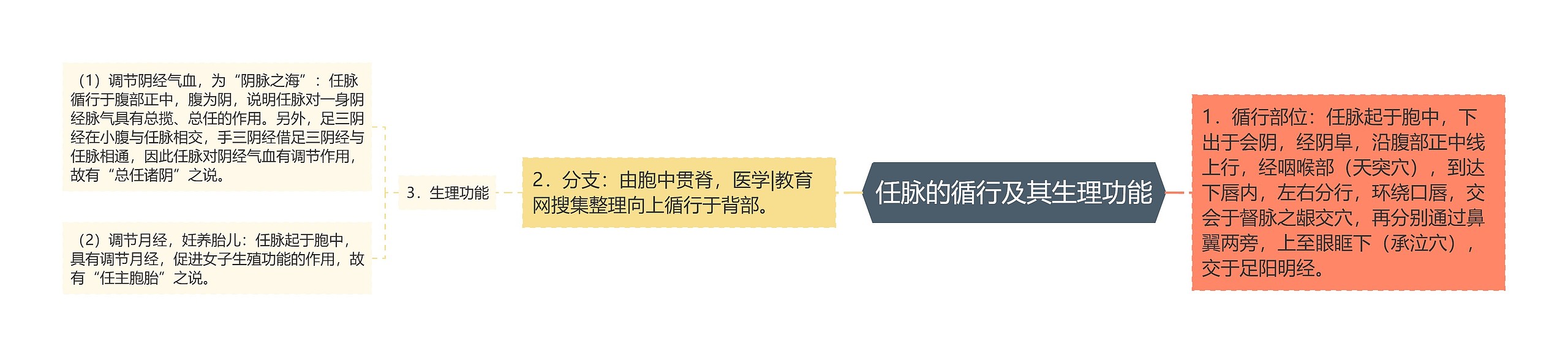 任脉的循行及其生理功能 任脉的循行及其生理功能