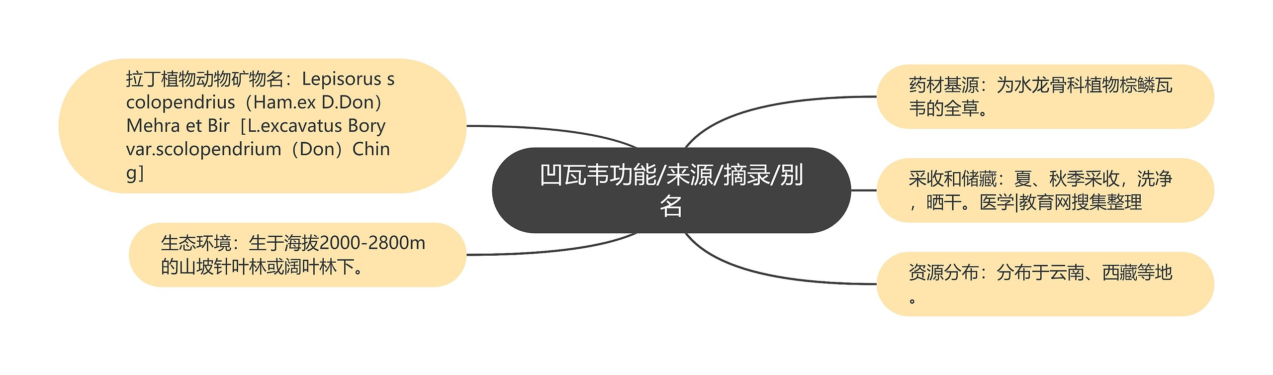 凹瓦韦功能/来源/摘录/别名 凹瓦韦功能/来源/摘录/别名