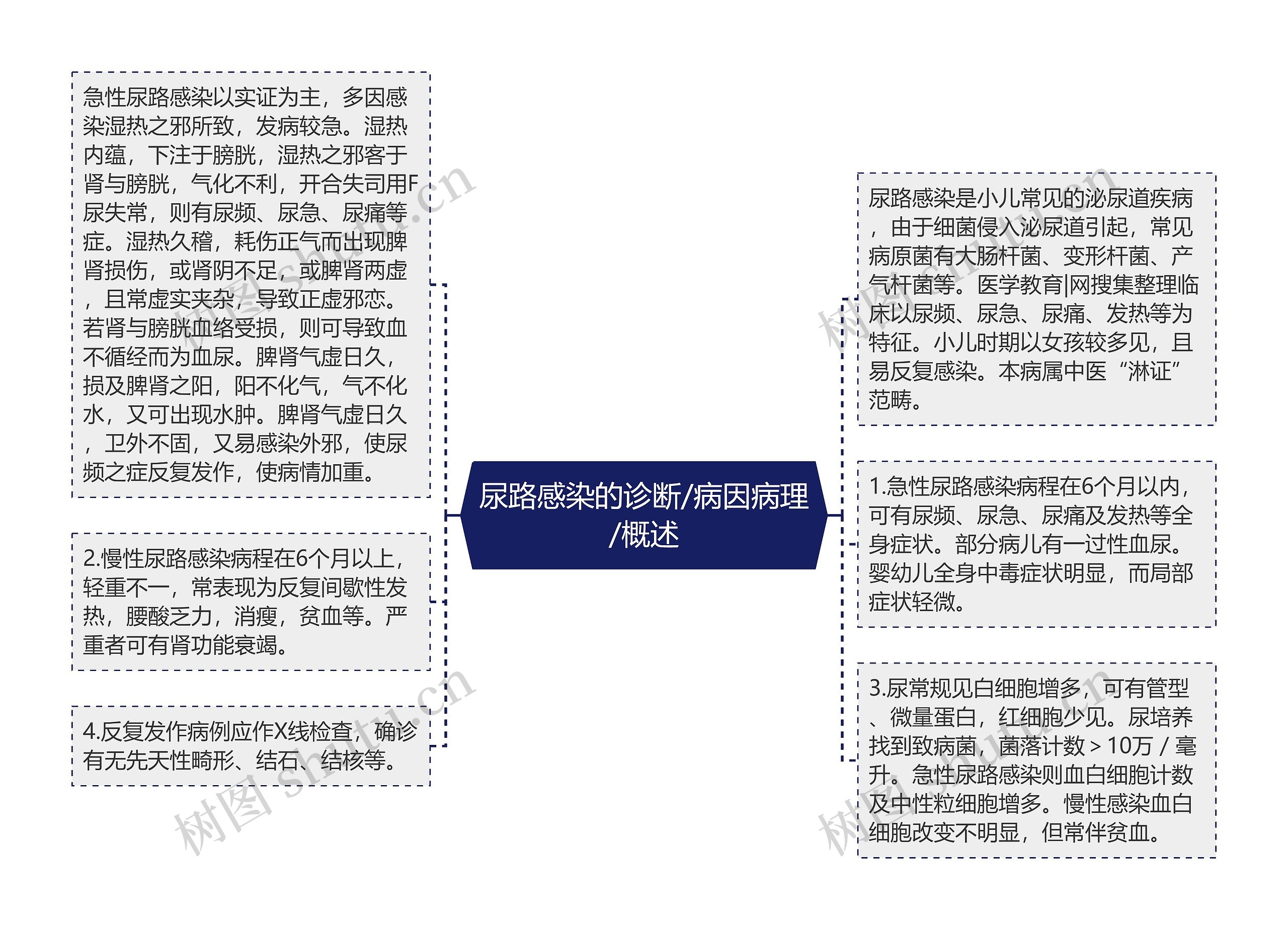 尿路感染的诊断/病因病理/概述