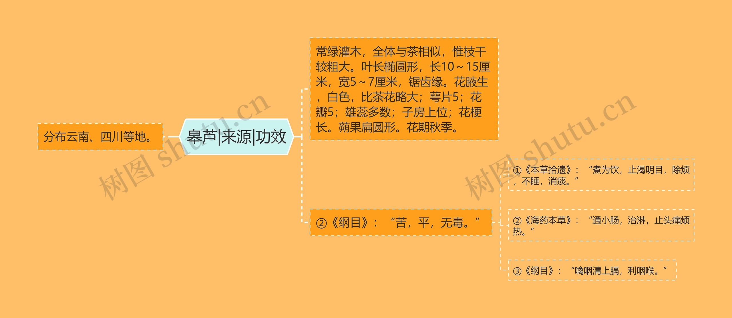 皋芦|来源|功效思维导图