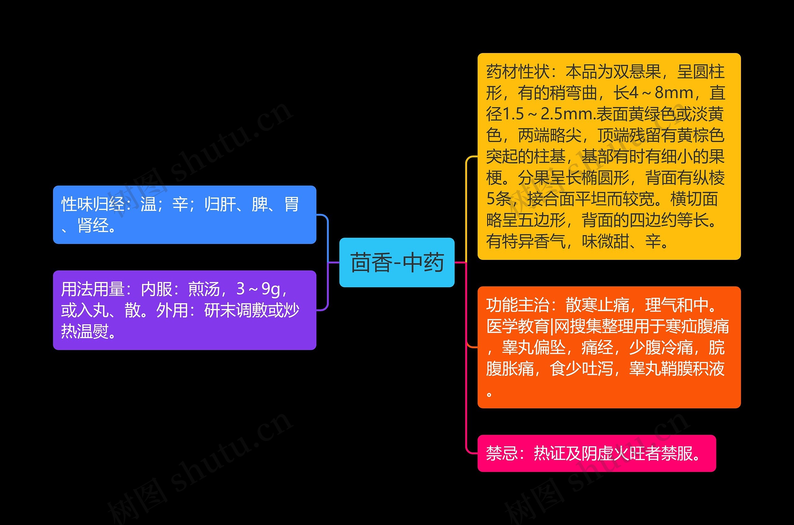 茴香-中药思维导图