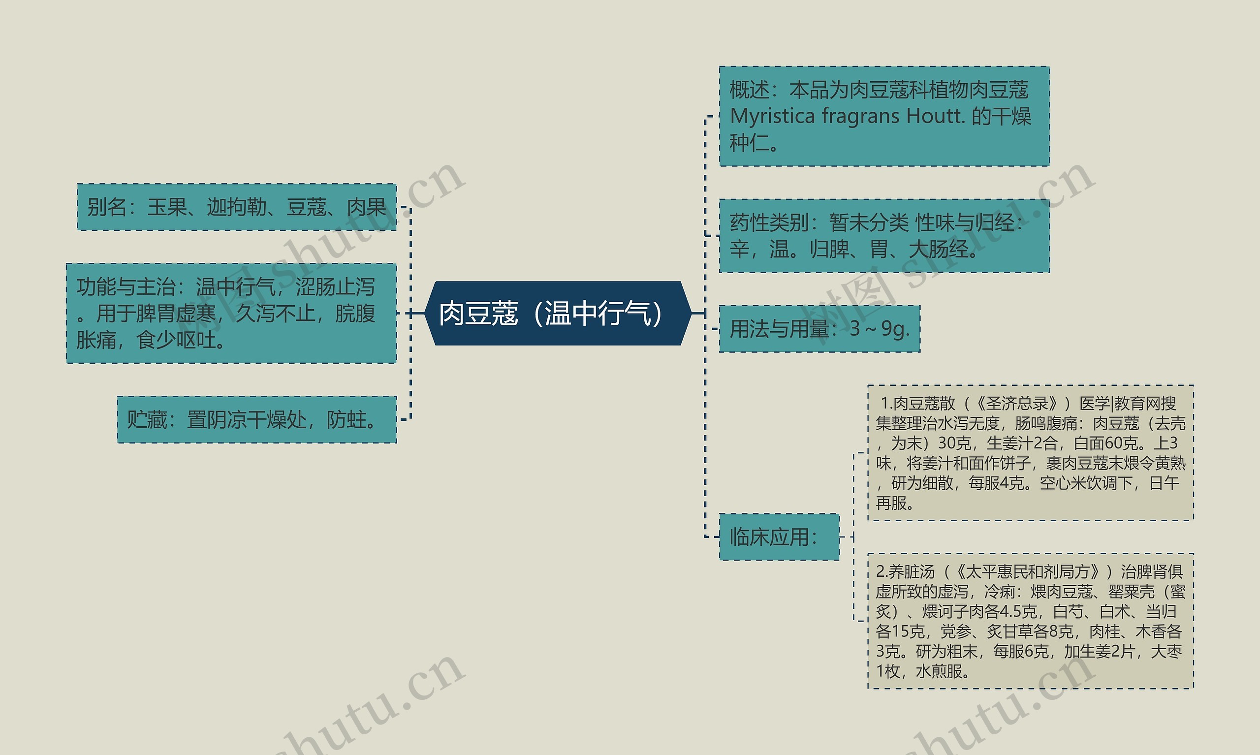 肉豆蔻(温中行气) 肉豆蔻(温中行气)