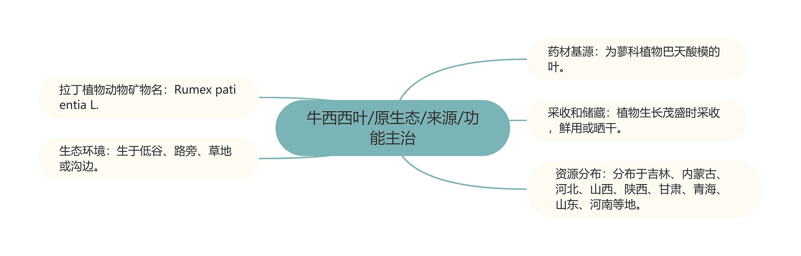 牛西西叶/原生态/来源/功能主治 牛西西叶/原生态/来源/功能主治