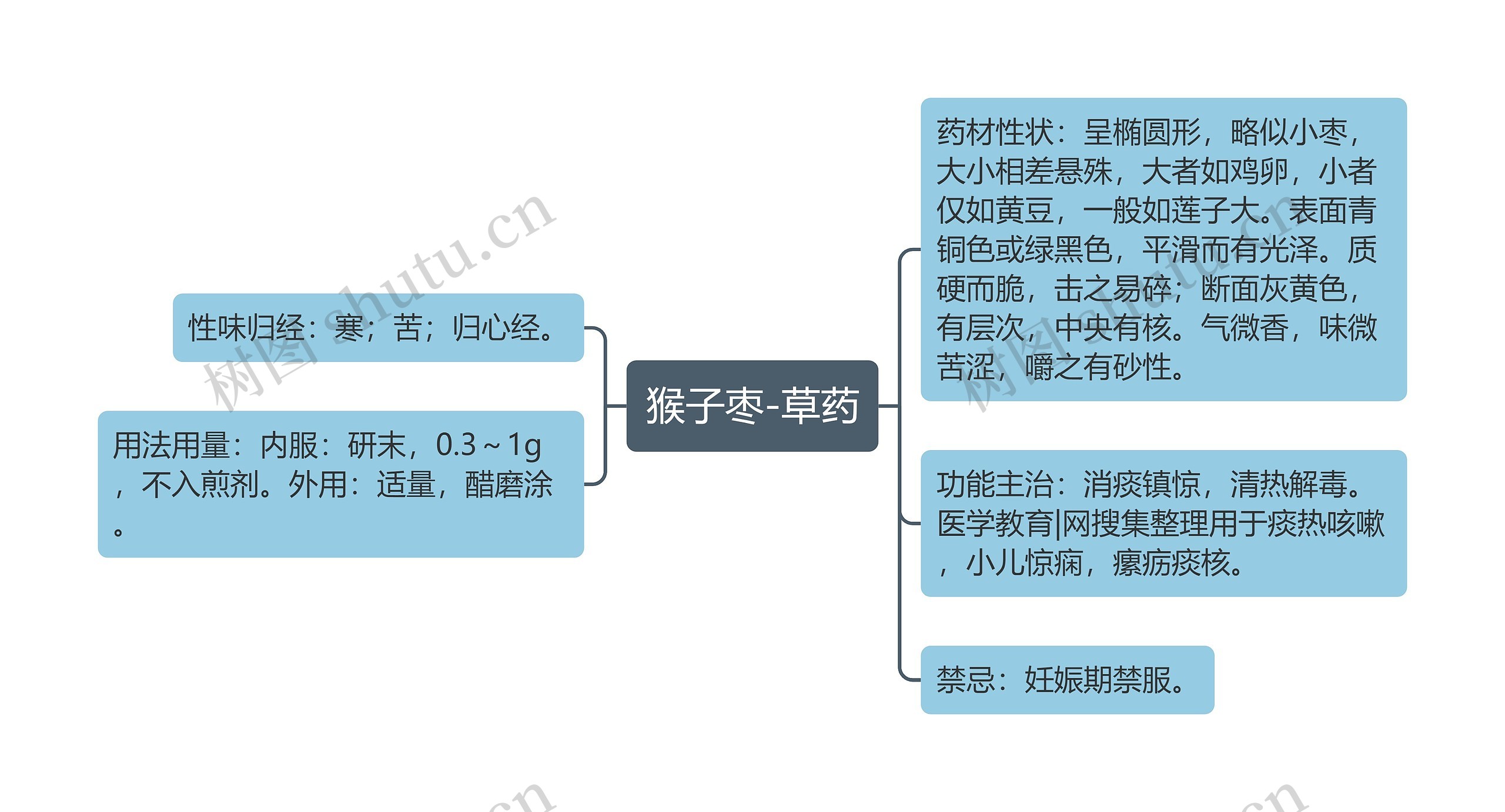 猴子枣-草药思维导图