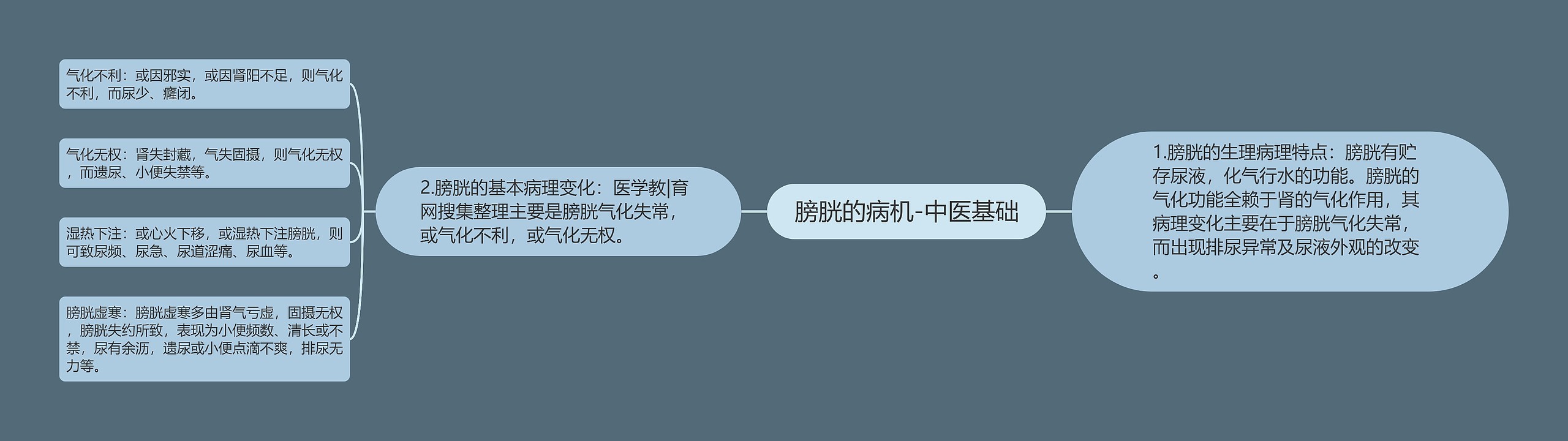 膀胱的病机-中医基础