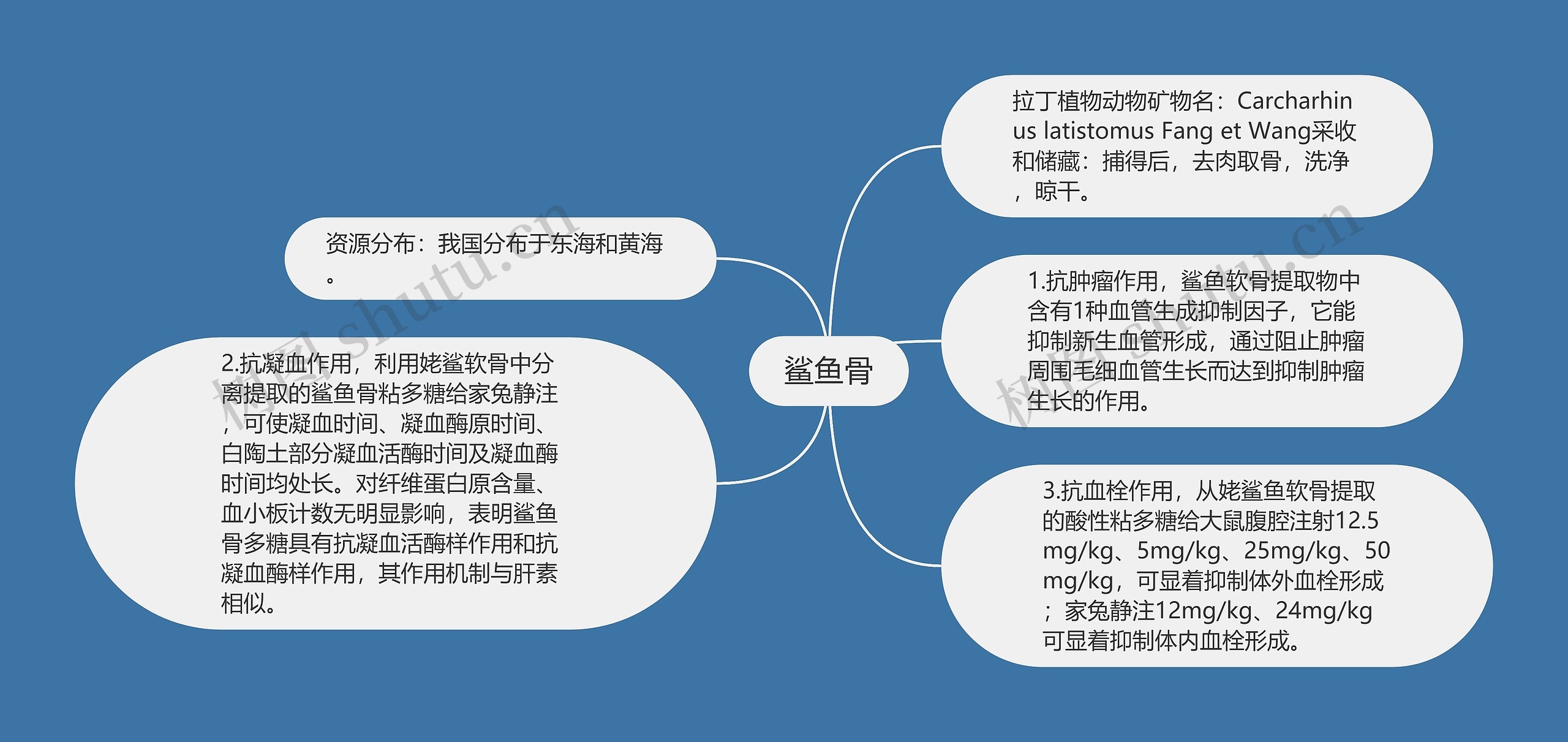 鲨鱼骨思维导图