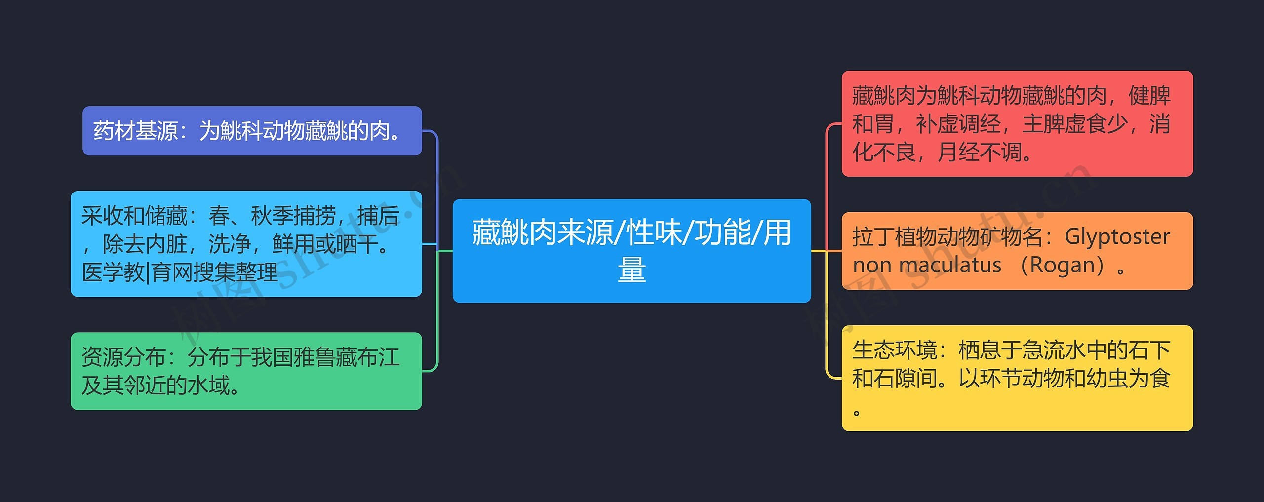 藏鮡肉来源/性味/功能/用量思维导图