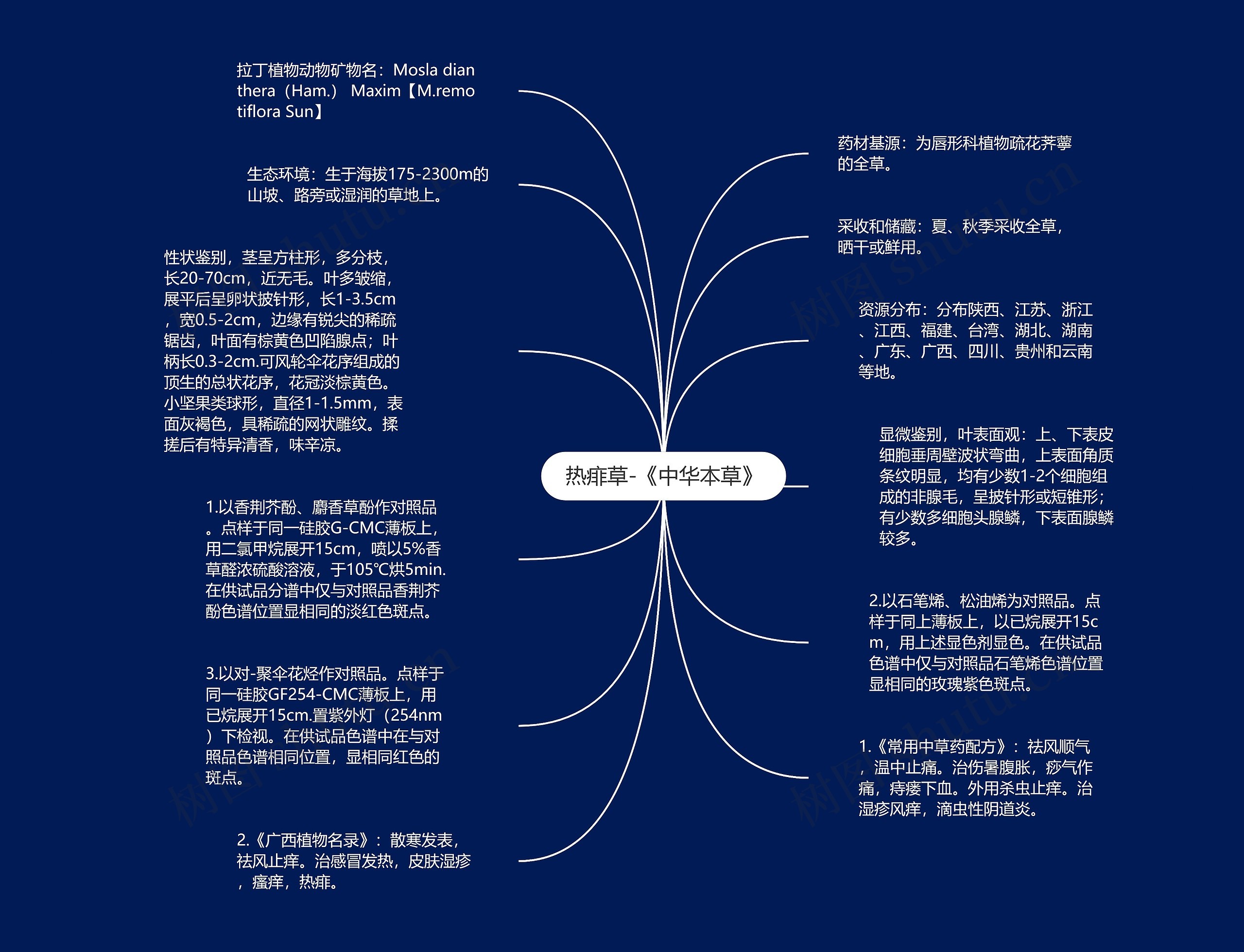 热痱草-《中华本草》