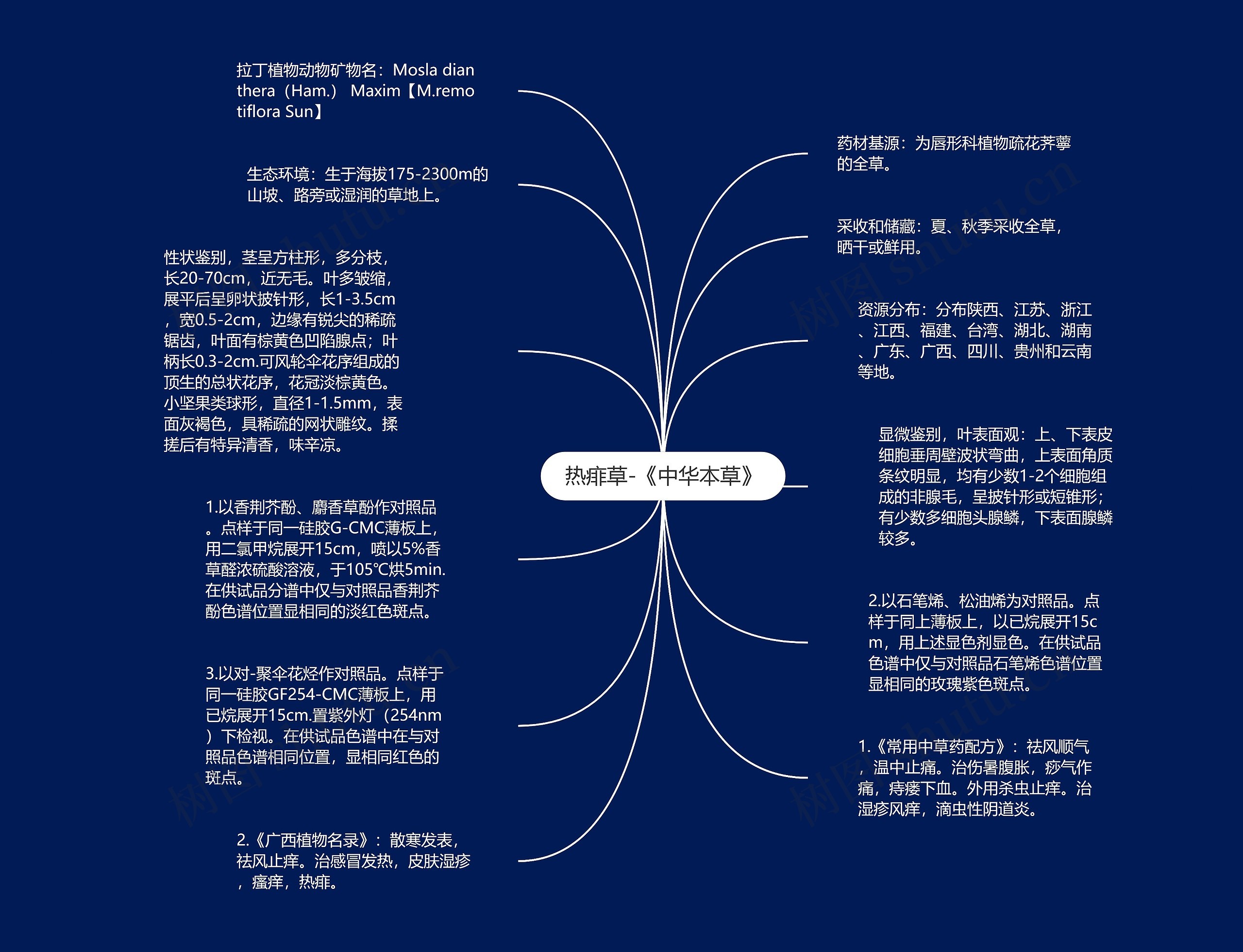 热痱草-《中华本草》思维导图