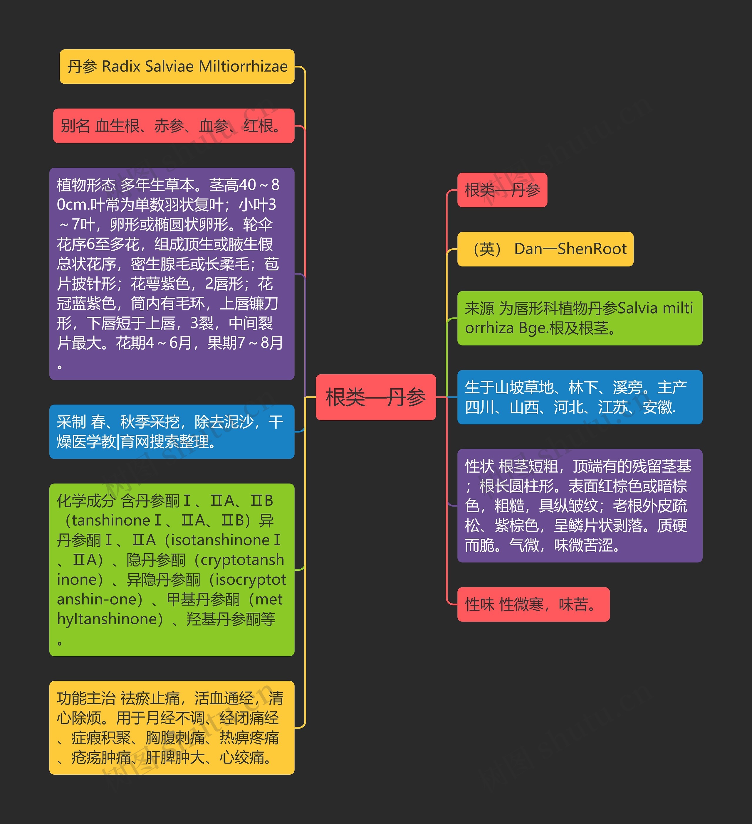 根类—丹参 根类—丹参