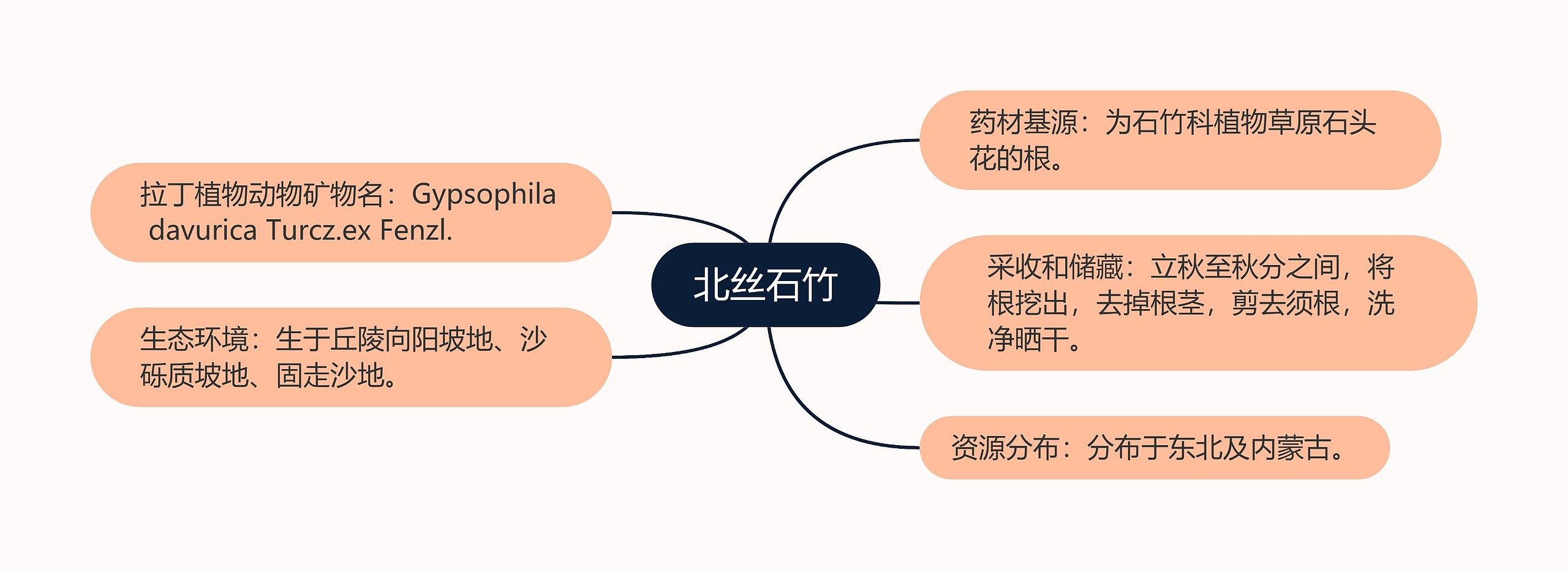 北丝石竹思维导图