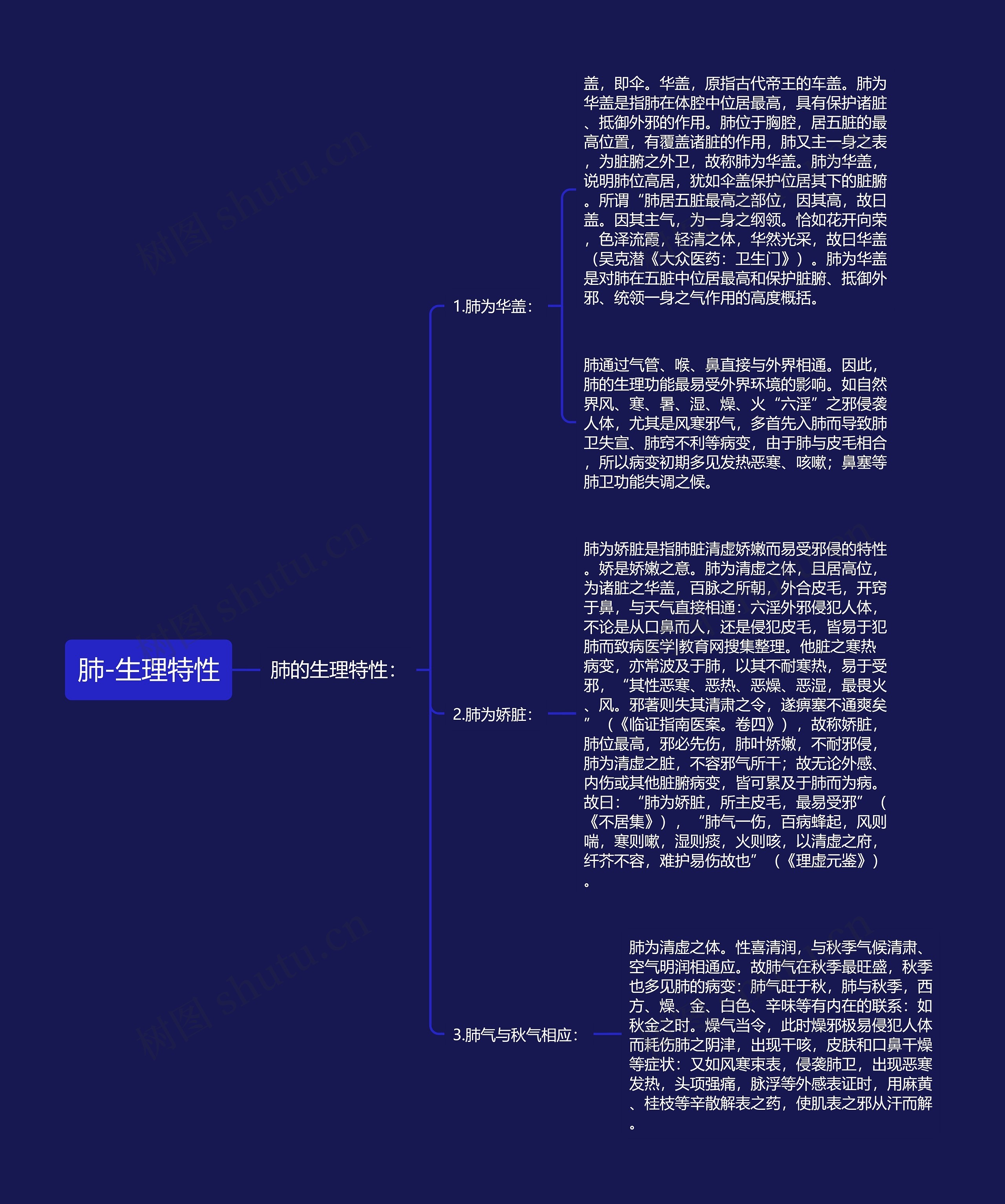 肺-生理特性 肺-生理特性