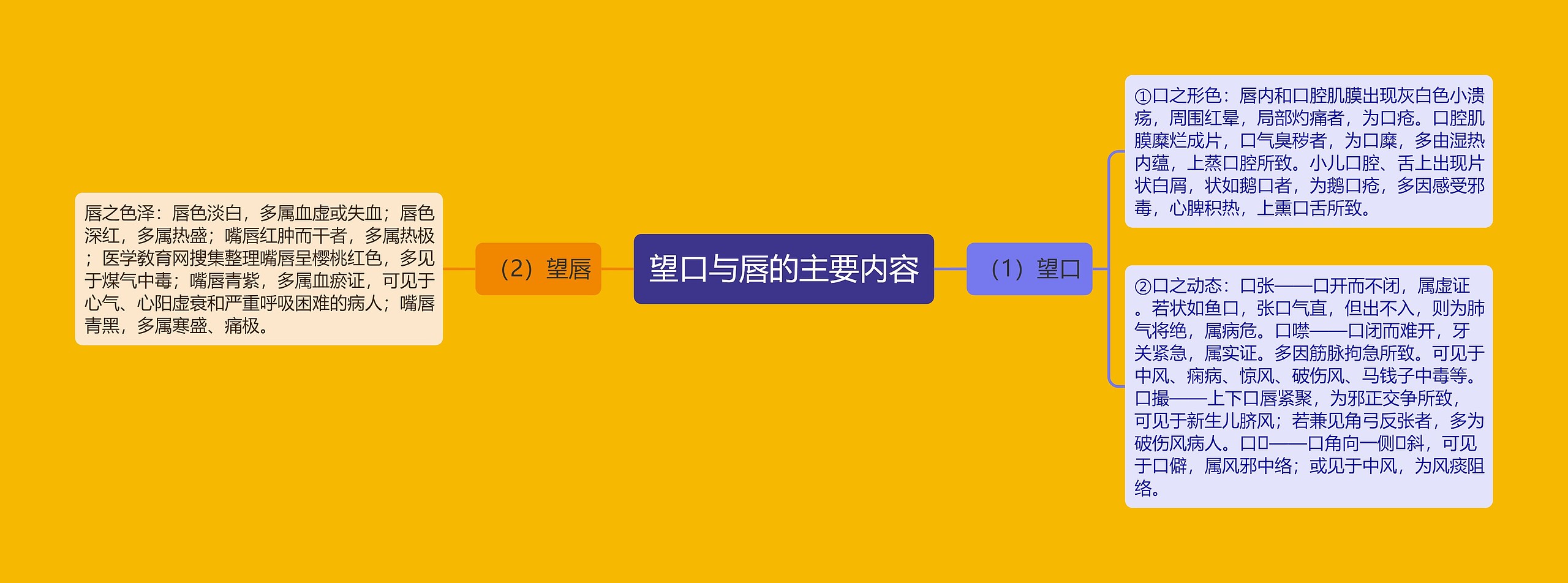 望口与唇的主要内容思维导图