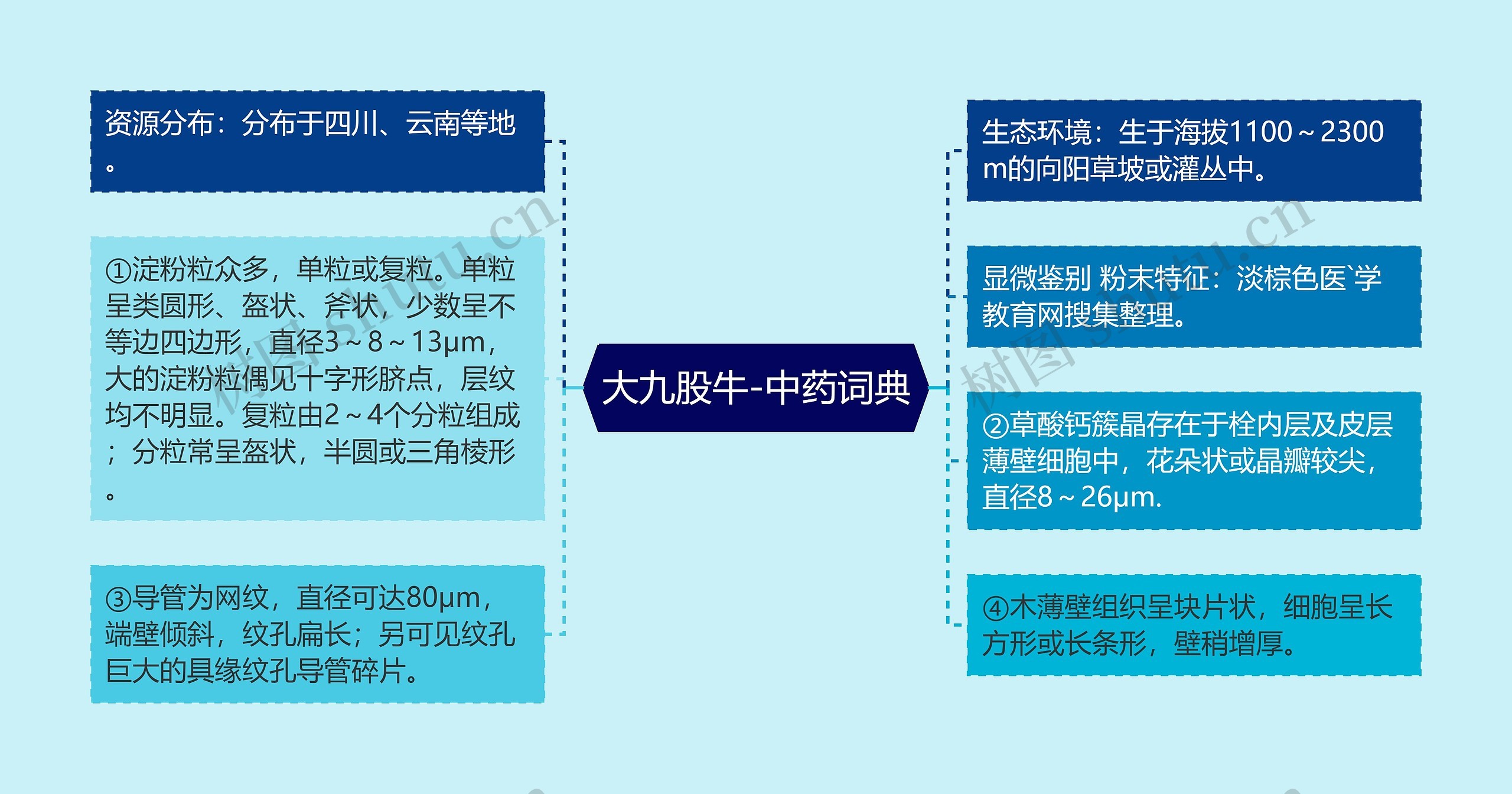 大九股牛-中药词典思维导图