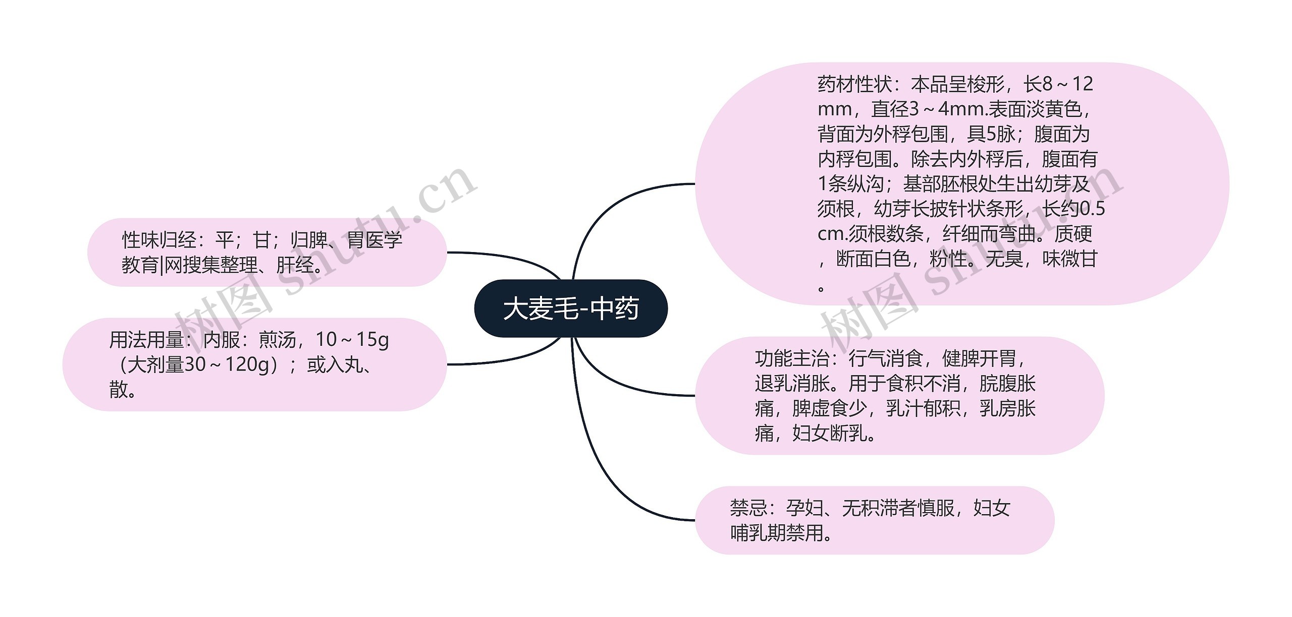 大麦毛-中药思维导图