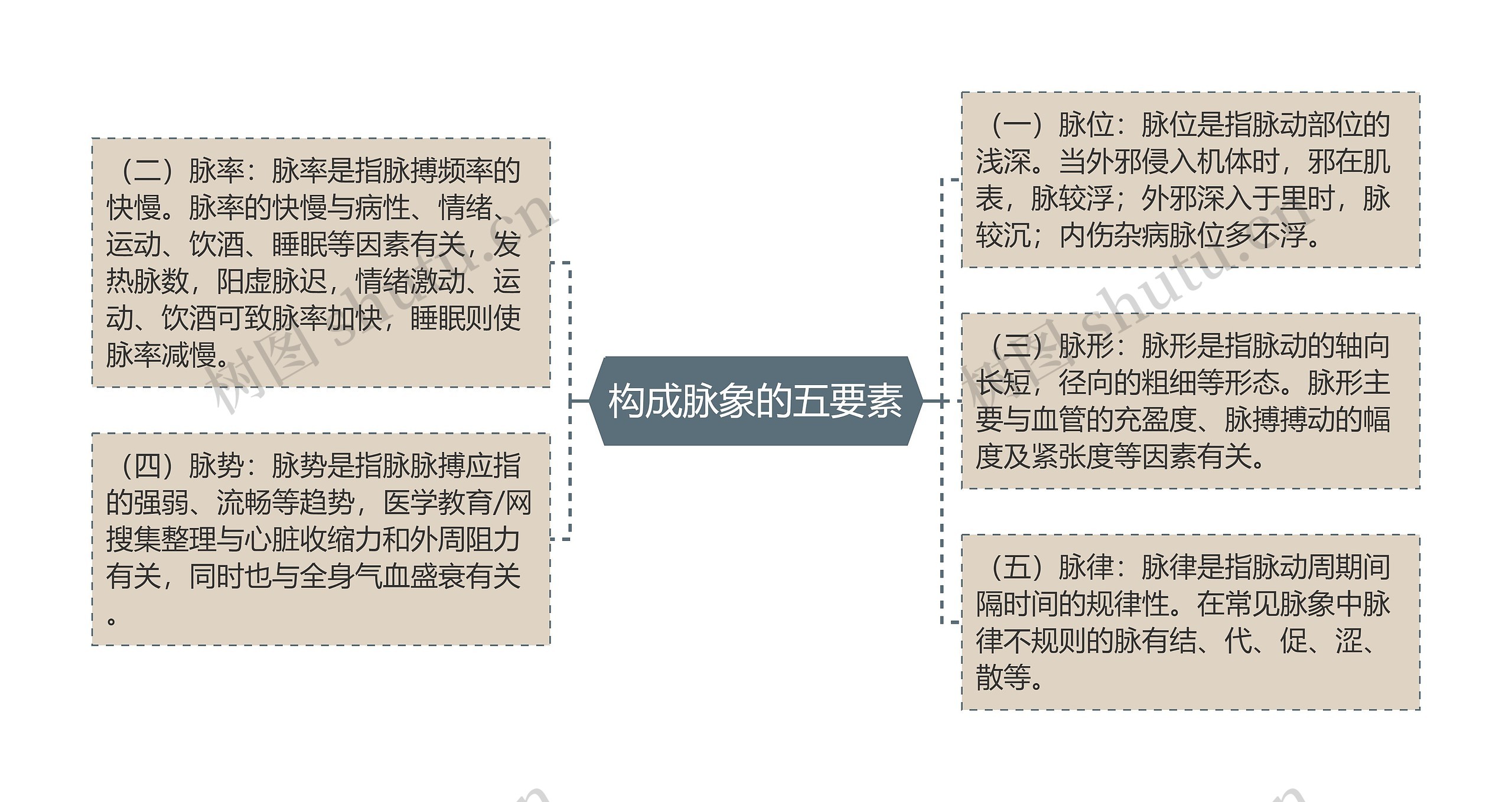 构成脉象的五要素思维导图