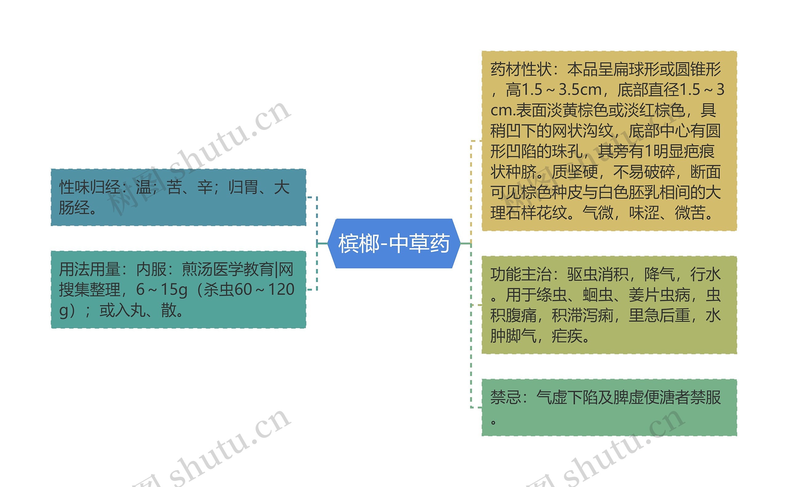槟榔-中草药 槟榔-中草药