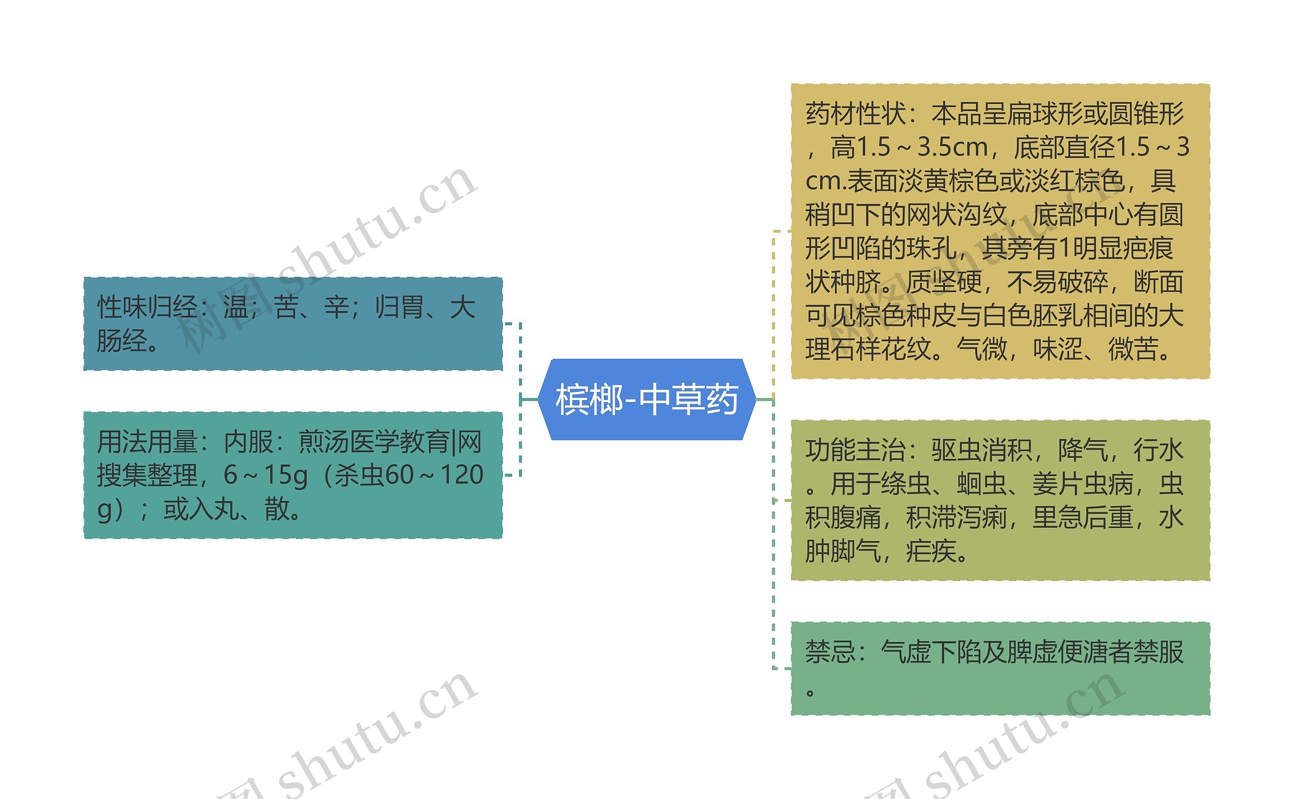 槟榔-中草药思维导图