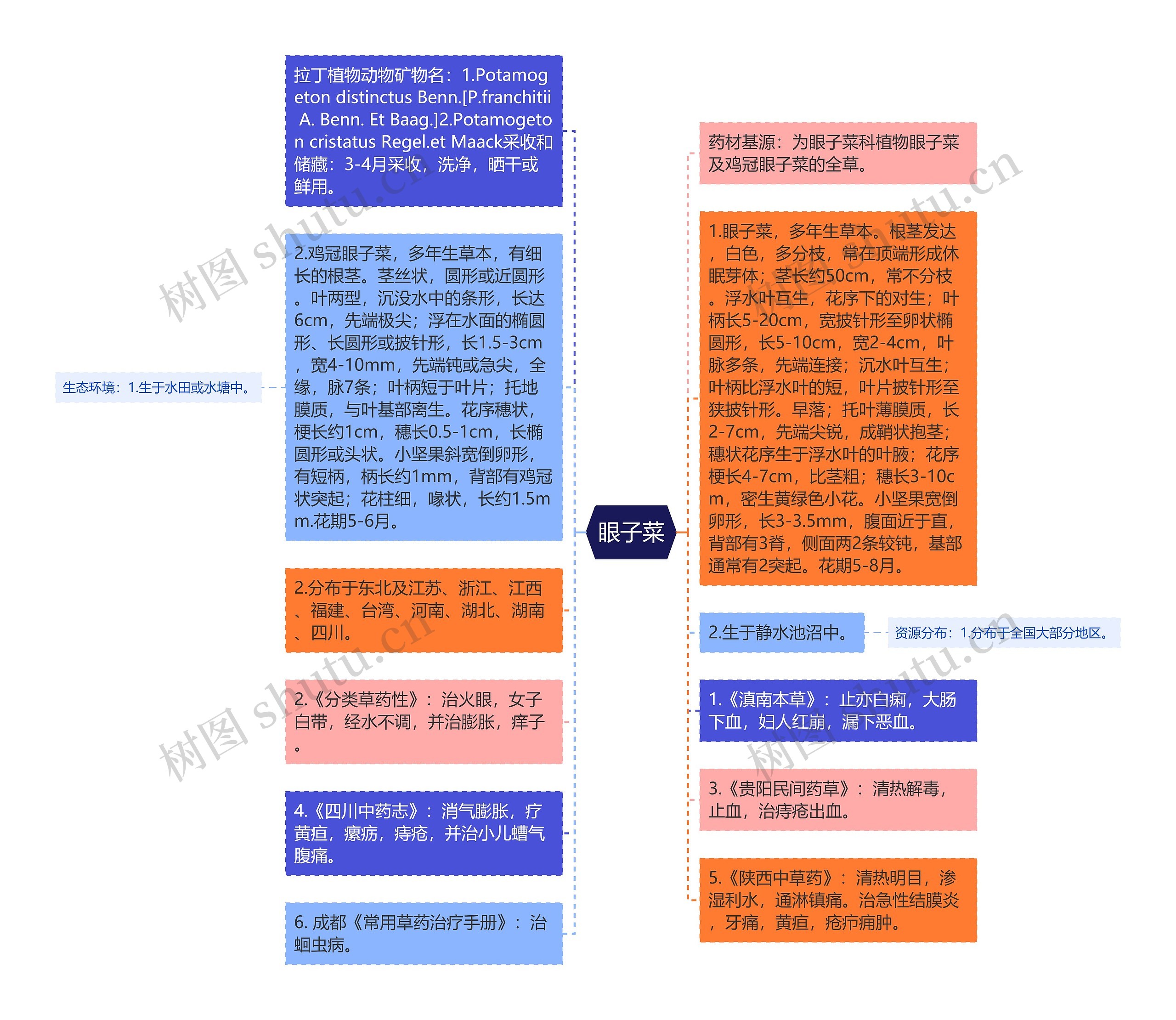 眼子菜思维导图