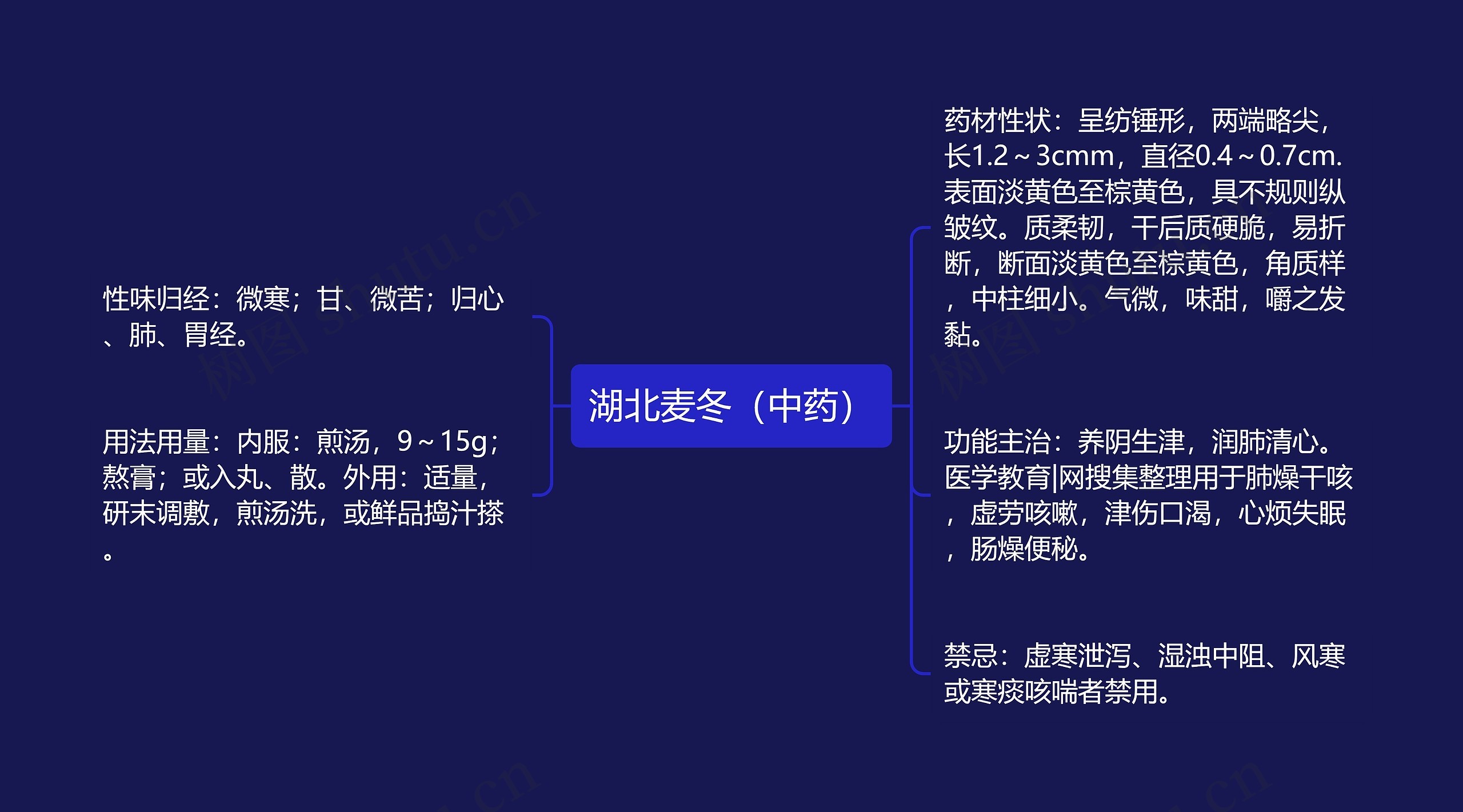 湖北麦冬（中药）思维导图