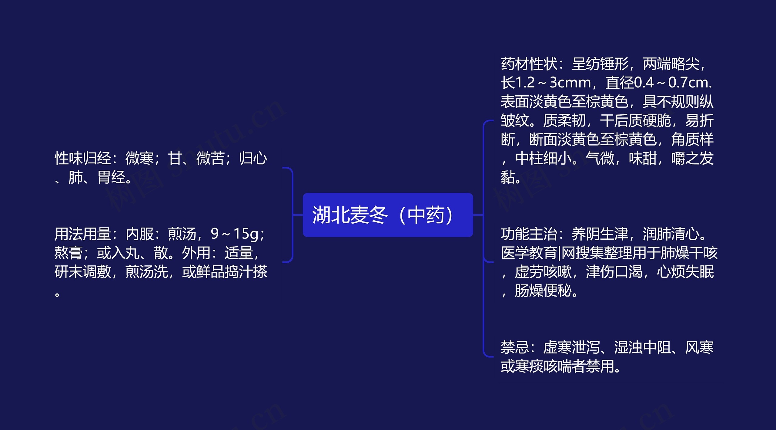 湖北麦冬(中药) 湖北麦冬(中药)